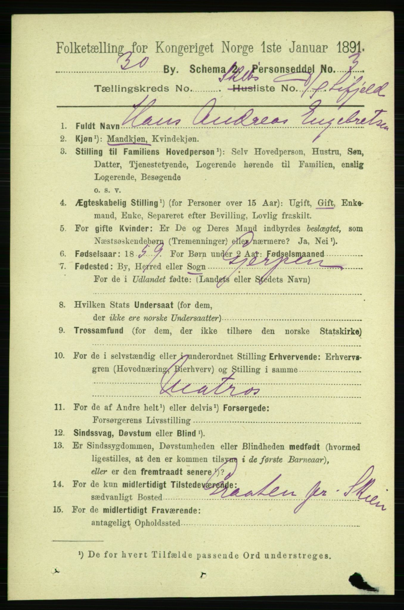 RA, 1891 census for 0806 Skien, 1891, p. 11512