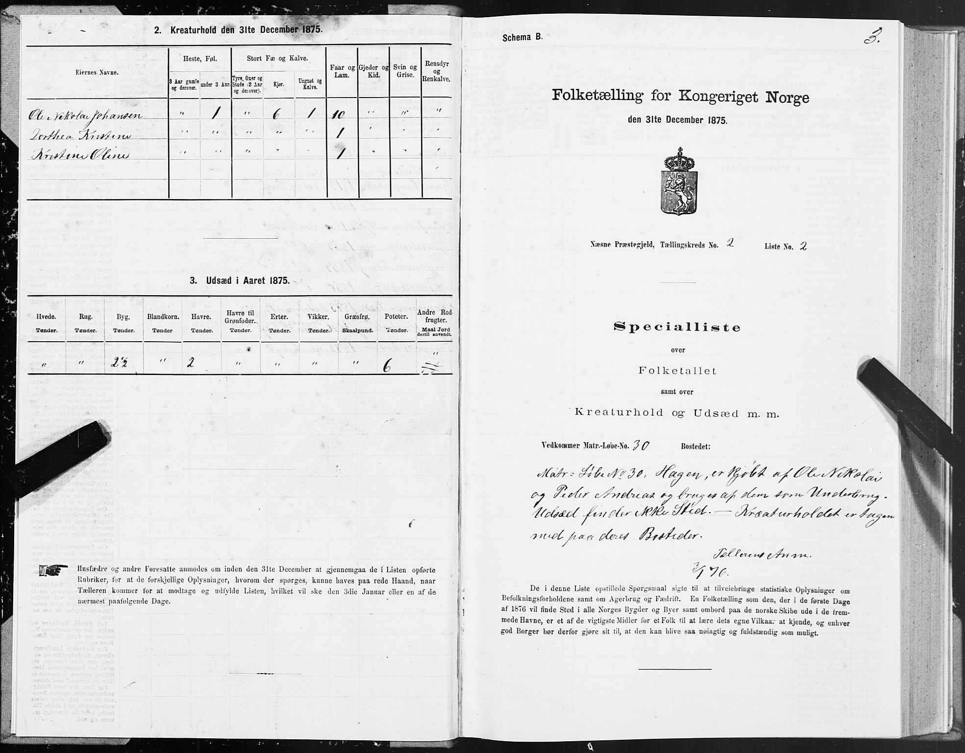 SAT, 1875 census for 1828P Nesna, 1875, p. 2003