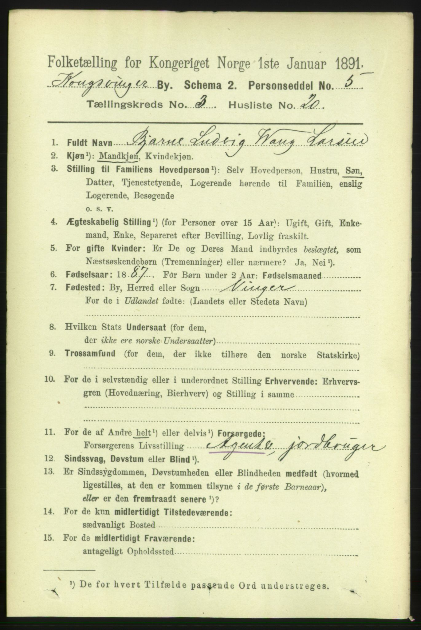 RA, 1891 census for 0402 Kongsvinger, 1891, p. 1344