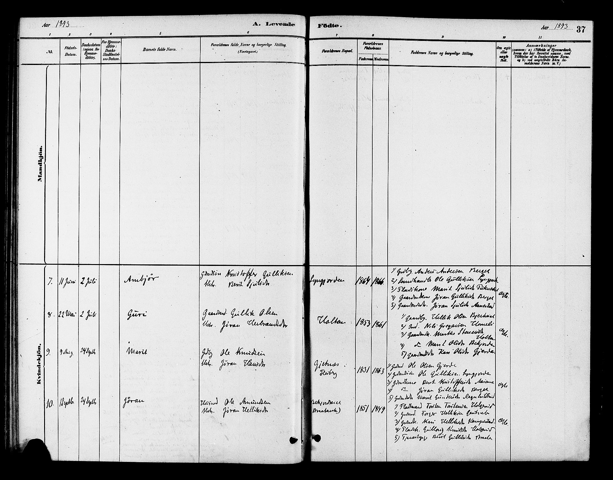 Flesberg kirkebøker, SAKO/A-18/F/Fc/L0001: Parish register (official) no. III 1, 1879-1905, p. 37