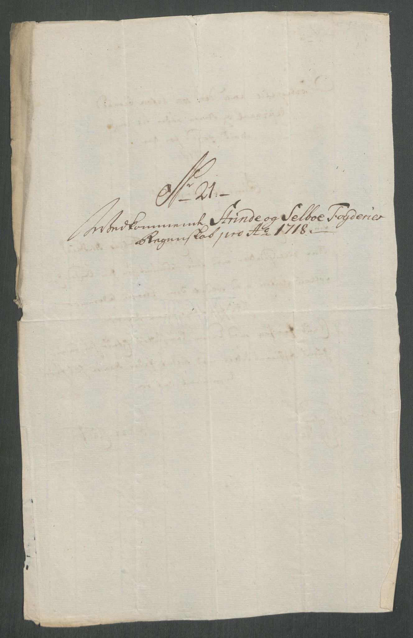 Rentekammeret inntil 1814, Reviderte regnskaper, Fogderegnskap, RA/EA-4092/R61/L4116: Fogderegnskap Strinda og Selbu, 1717-1718, p. 456