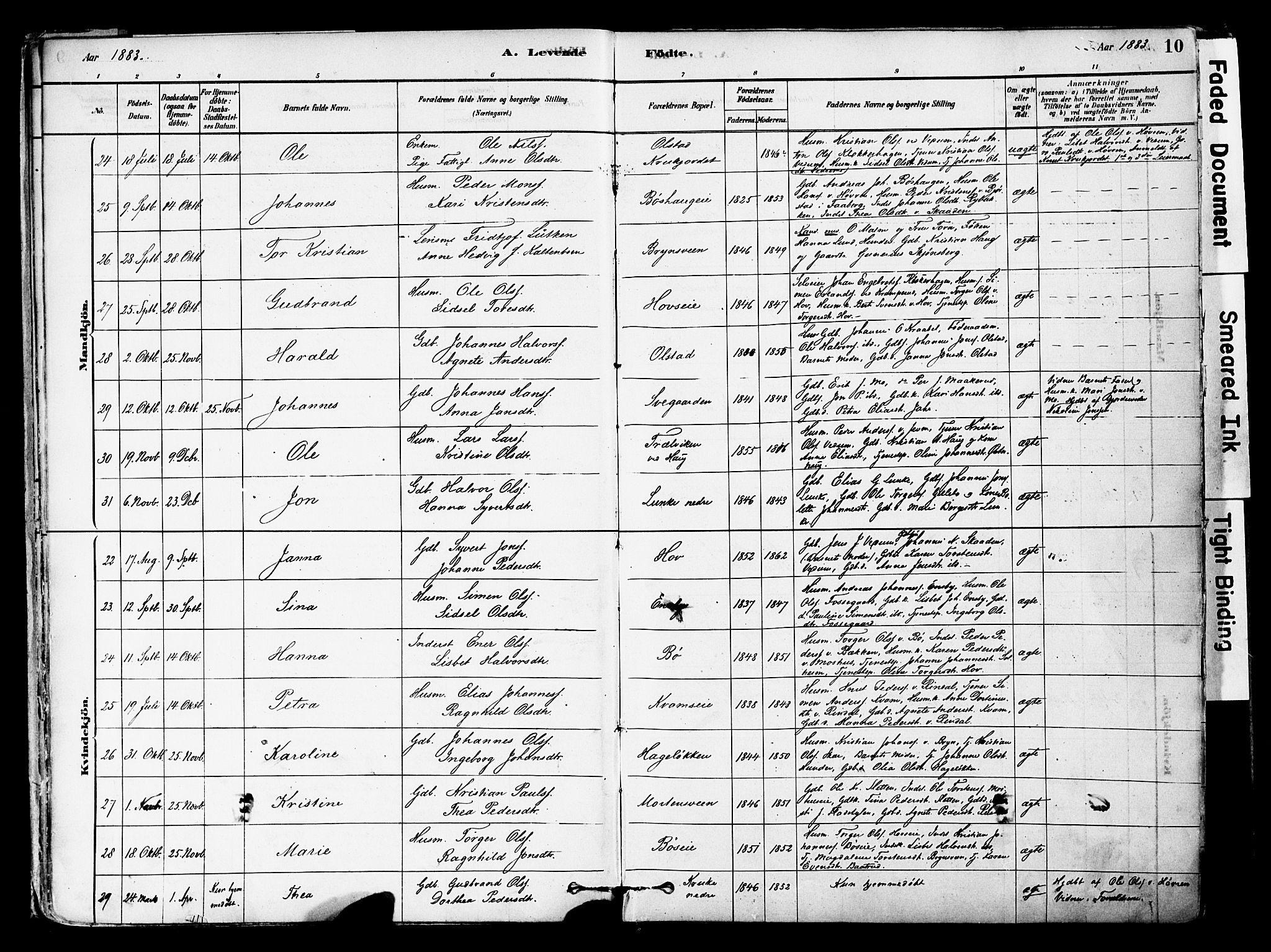 Øyer prestekontor, AV/SAH-PREST-084/H/Ha/Haa/L0008: Parish register (official) no. 8, 1878-1897, p. 10