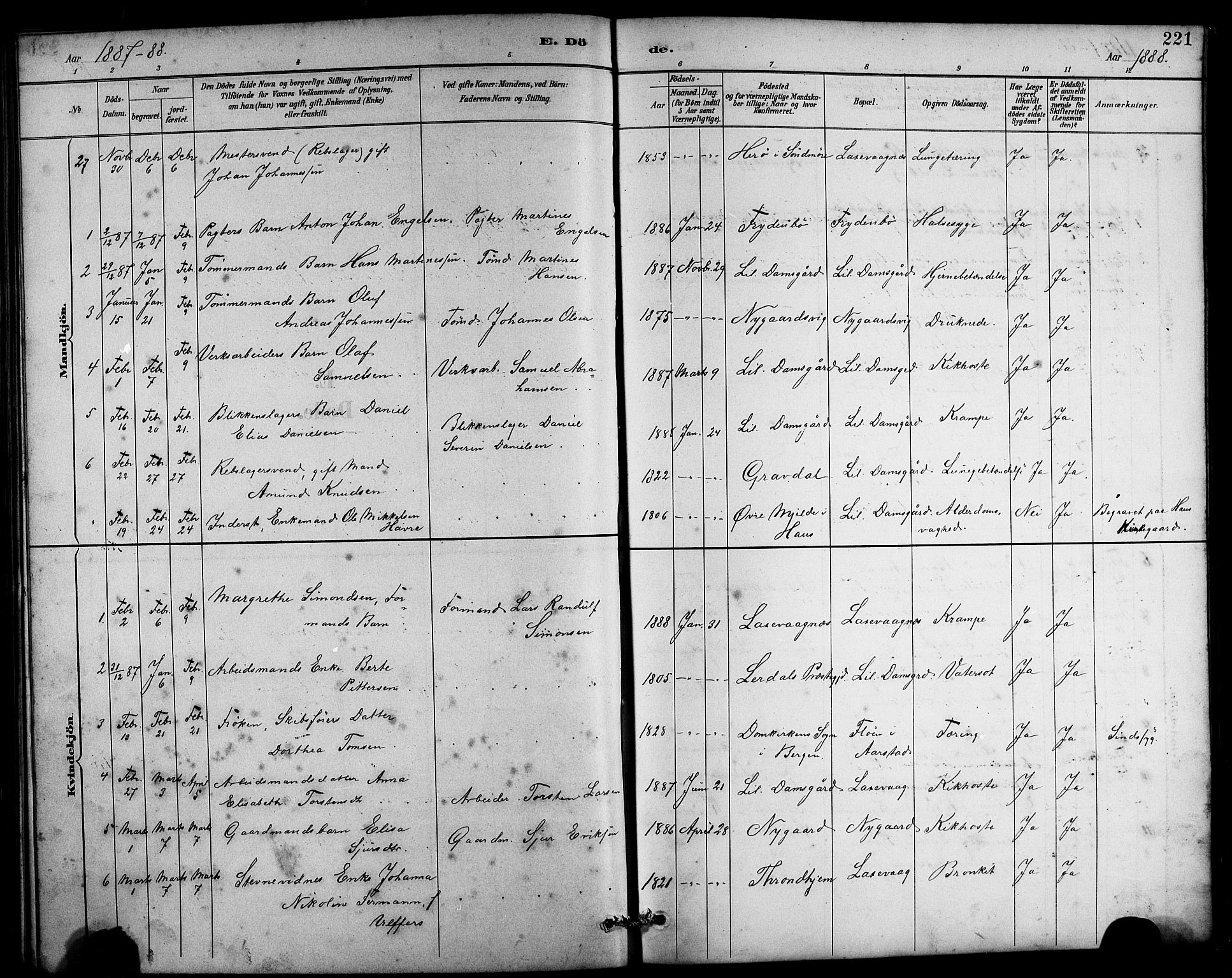 Laksevåg Sokneprestembete, SAB/A-76501/H/Ha/Hab/Haba/L0003: Parish register (copy) no. A 3, 1887-1899, p. 221