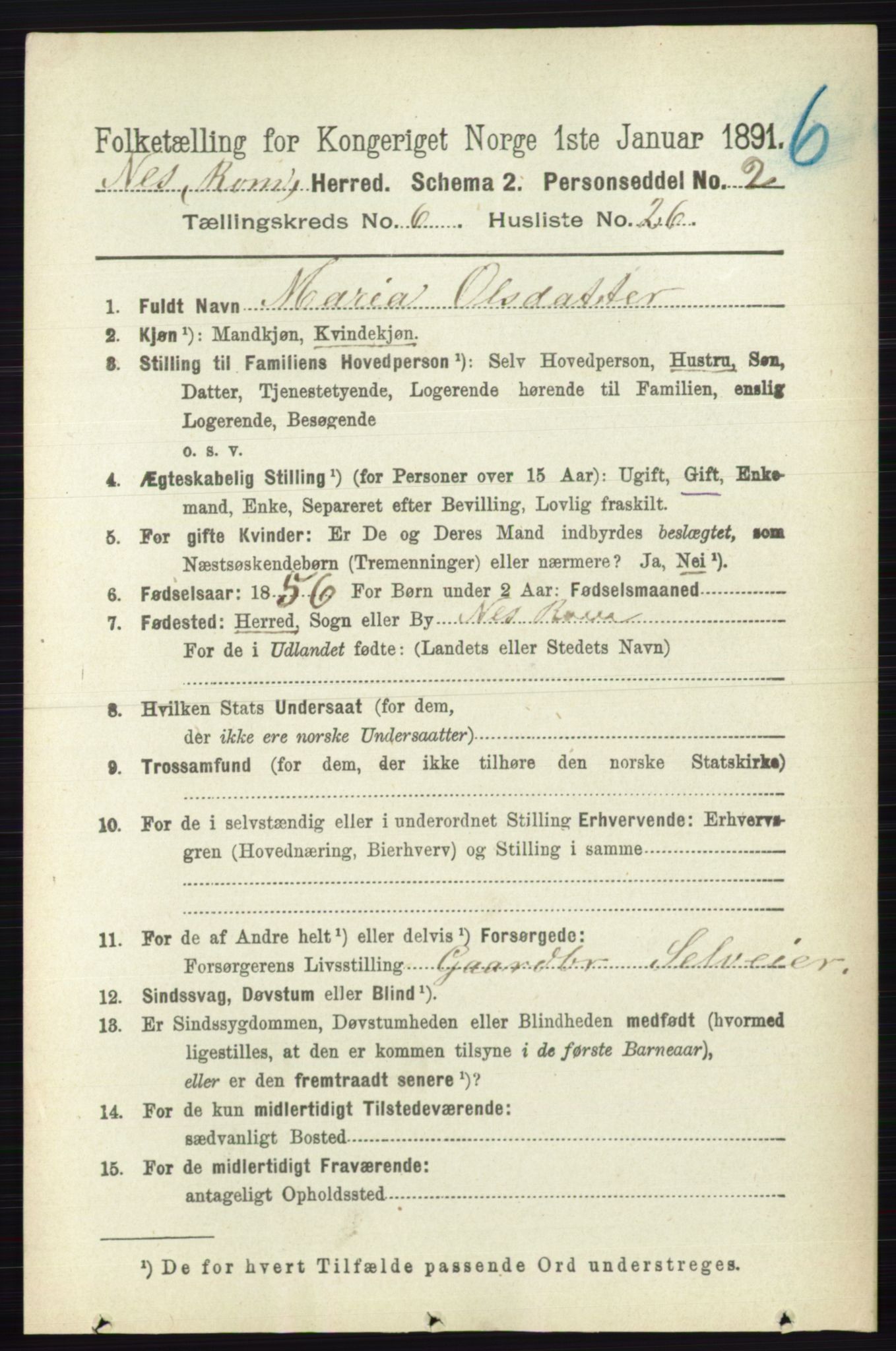 RA, 1891 census for 0236 Nes, 1891, p. 3536