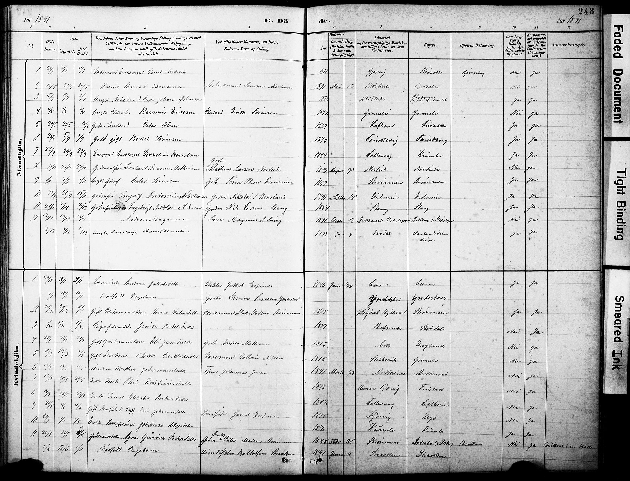 Askvoll sokneprestembete, SAB/A-79501/H/Hab/Haba/L0003: Parish register (copy) no. A 3, 1886-1928, p. 243