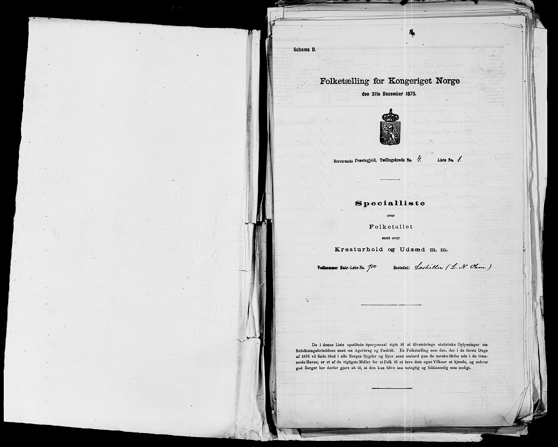 SAST, 1875 census for 1139P Nedstrand, 1875, p. 147