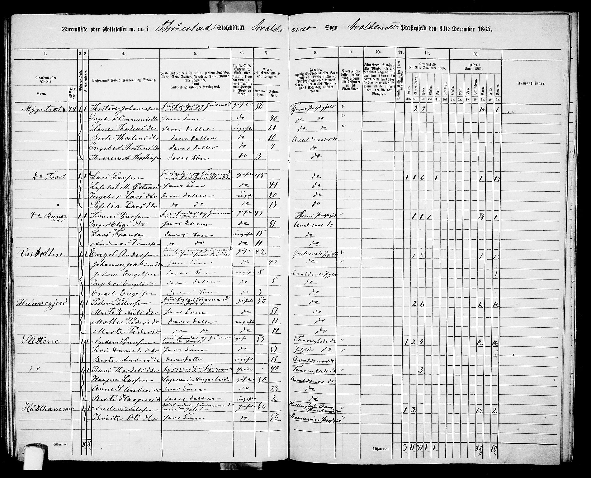 RA, 1865 census for Avaldsnes, 1865, p. 217