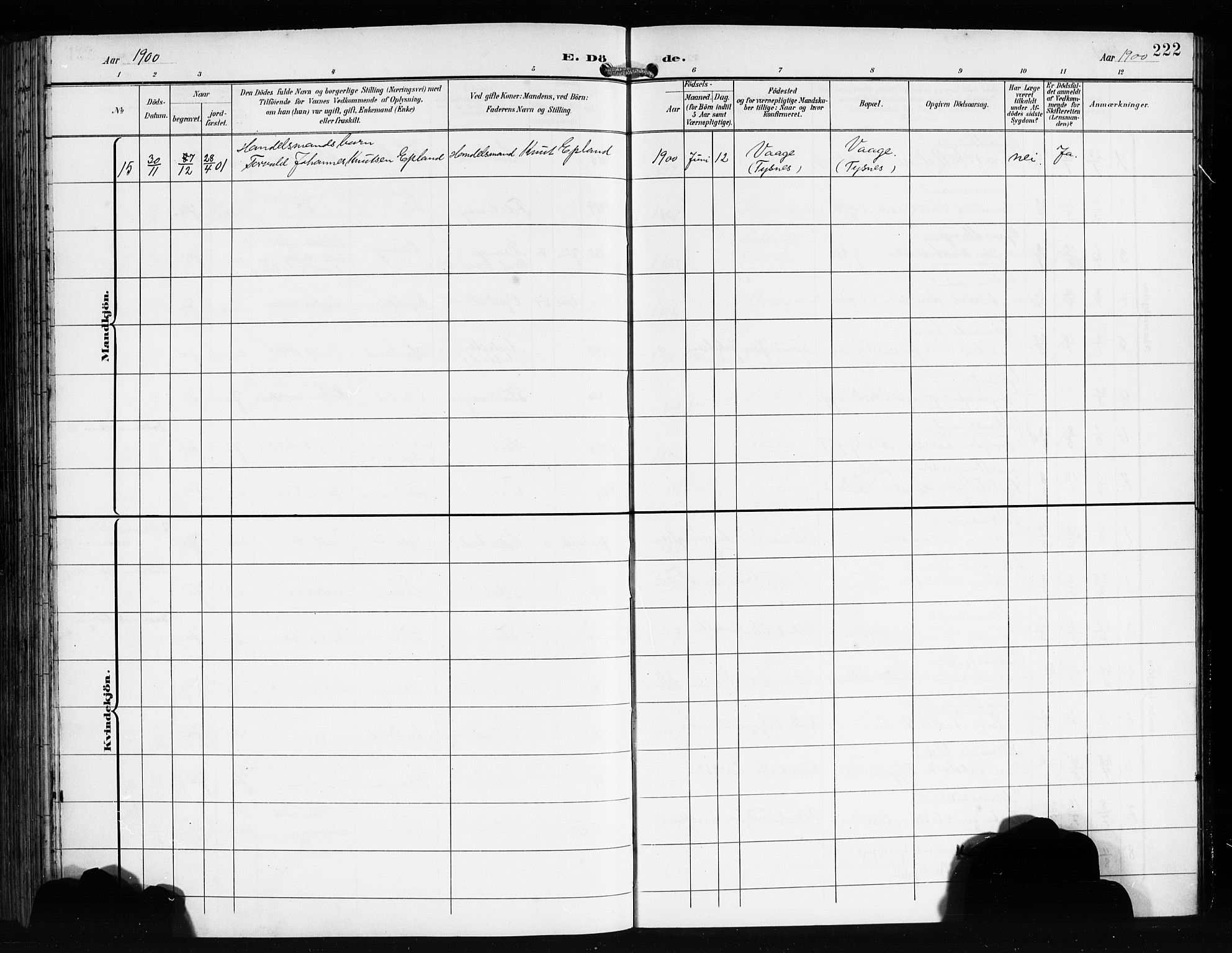 Tysnes sokneprestembete, AV/SAB-A-78601/H/Hab: Parish register (copy) no. E 3, 1897-1913, p. 222