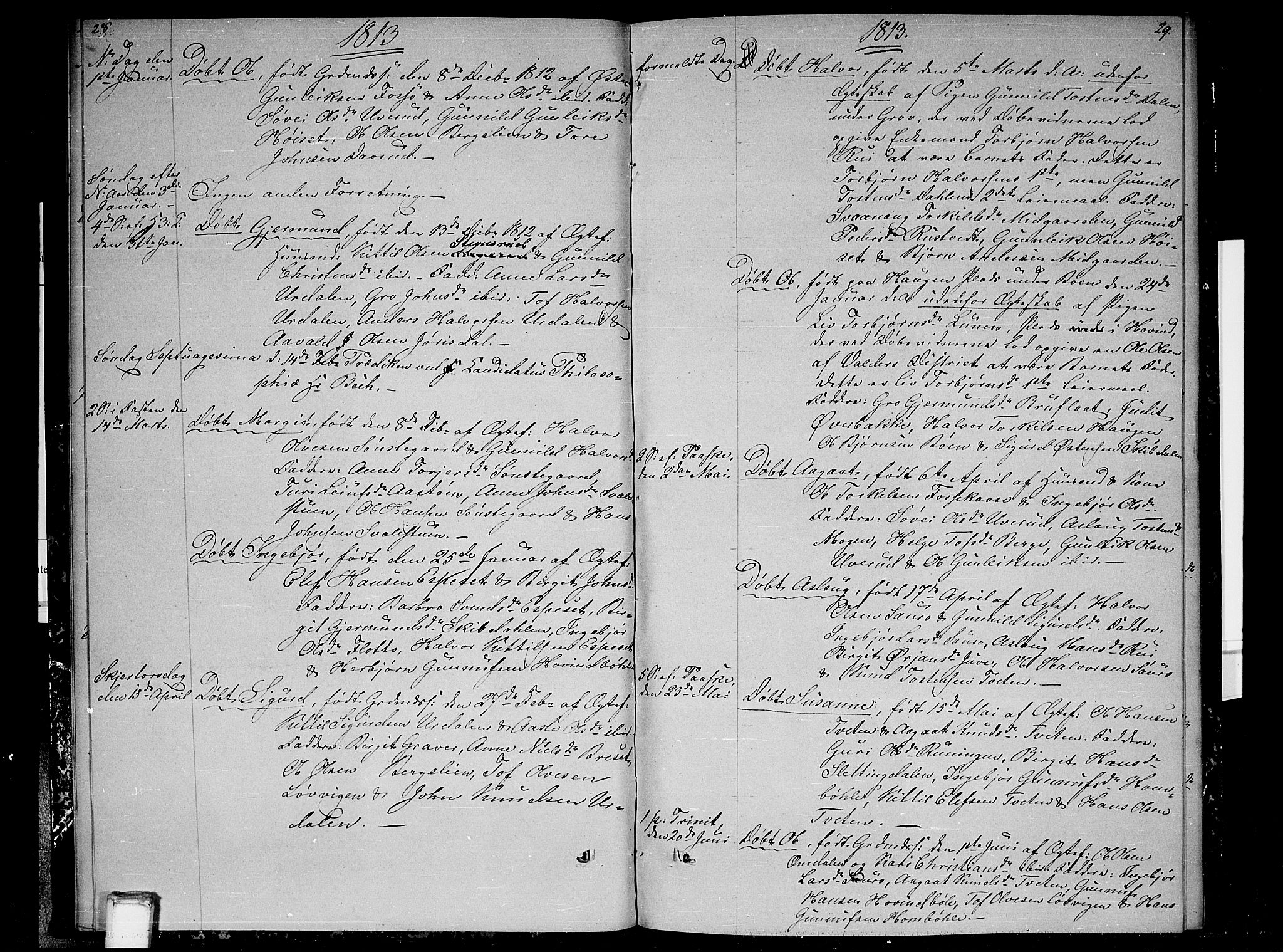 Gransherad kirkebøker, SAKO/A-267/F/Fb/L0001: Parish register (official) no. II 1, 1800-1814, p. 28-29