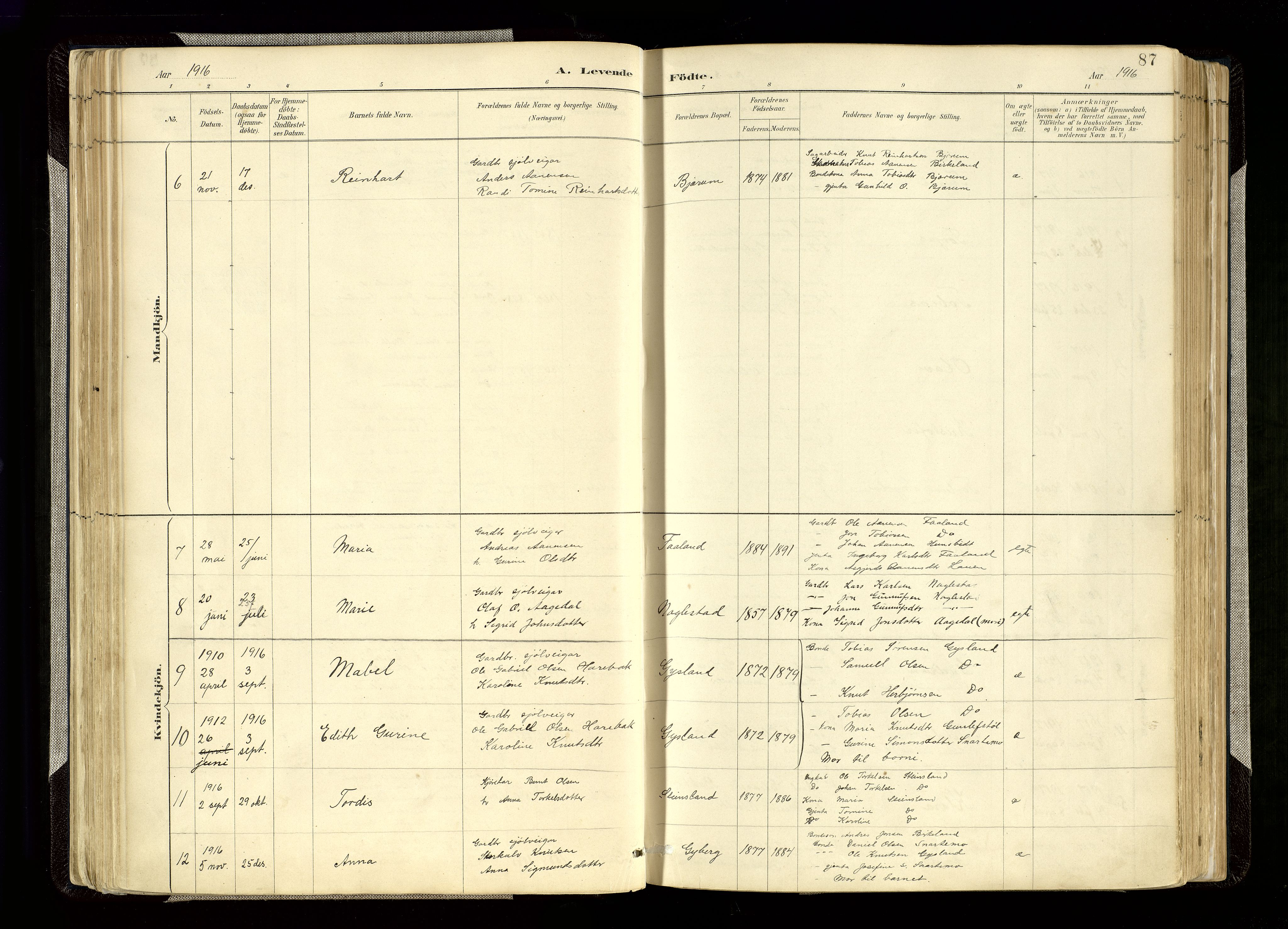 Hægebostad sokneprestkontor, AV/SAK-1111-0024/F/Fa/Faa/L0006: Parish register (official) no. A 6, 1887-1929, p. 87