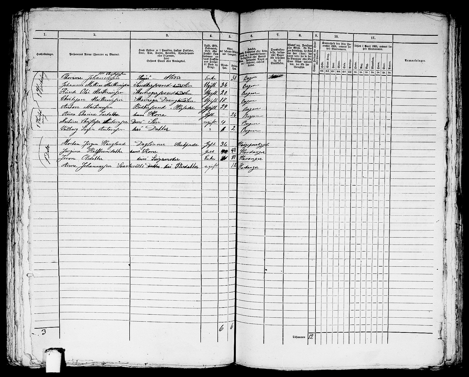 RA, 1865 census for Bergen, 1865, p. 5036