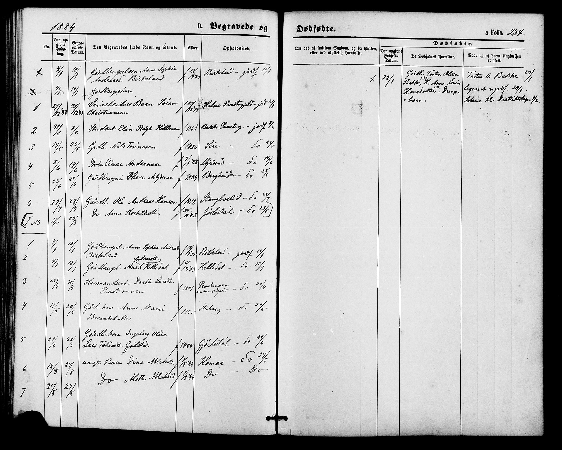 Bakke sokneprestkontor, SAK/1111-0002/F/Fa/Faa/L0007: Parish register (official) no. A 7, 1877-1886, p. 234