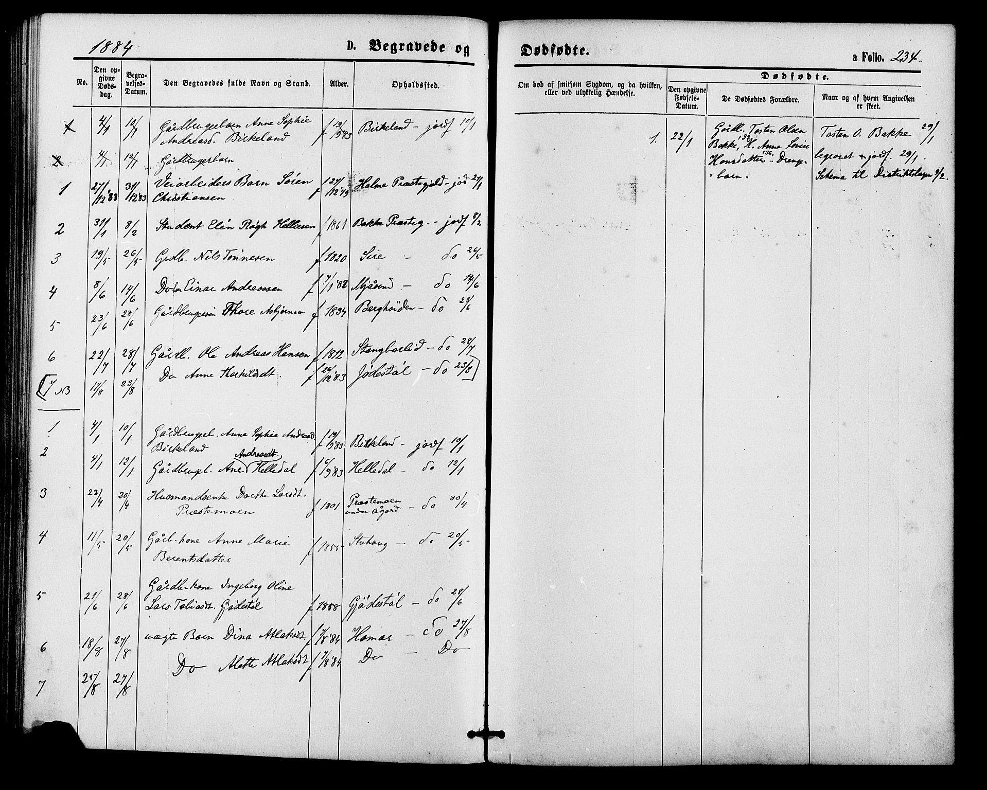 Bakke sokneprestkontor, AV/SAK-1111-0002/F/Fa/Faa/L0007: Parish register (official) no. A 7, 1877-1886, p. 234