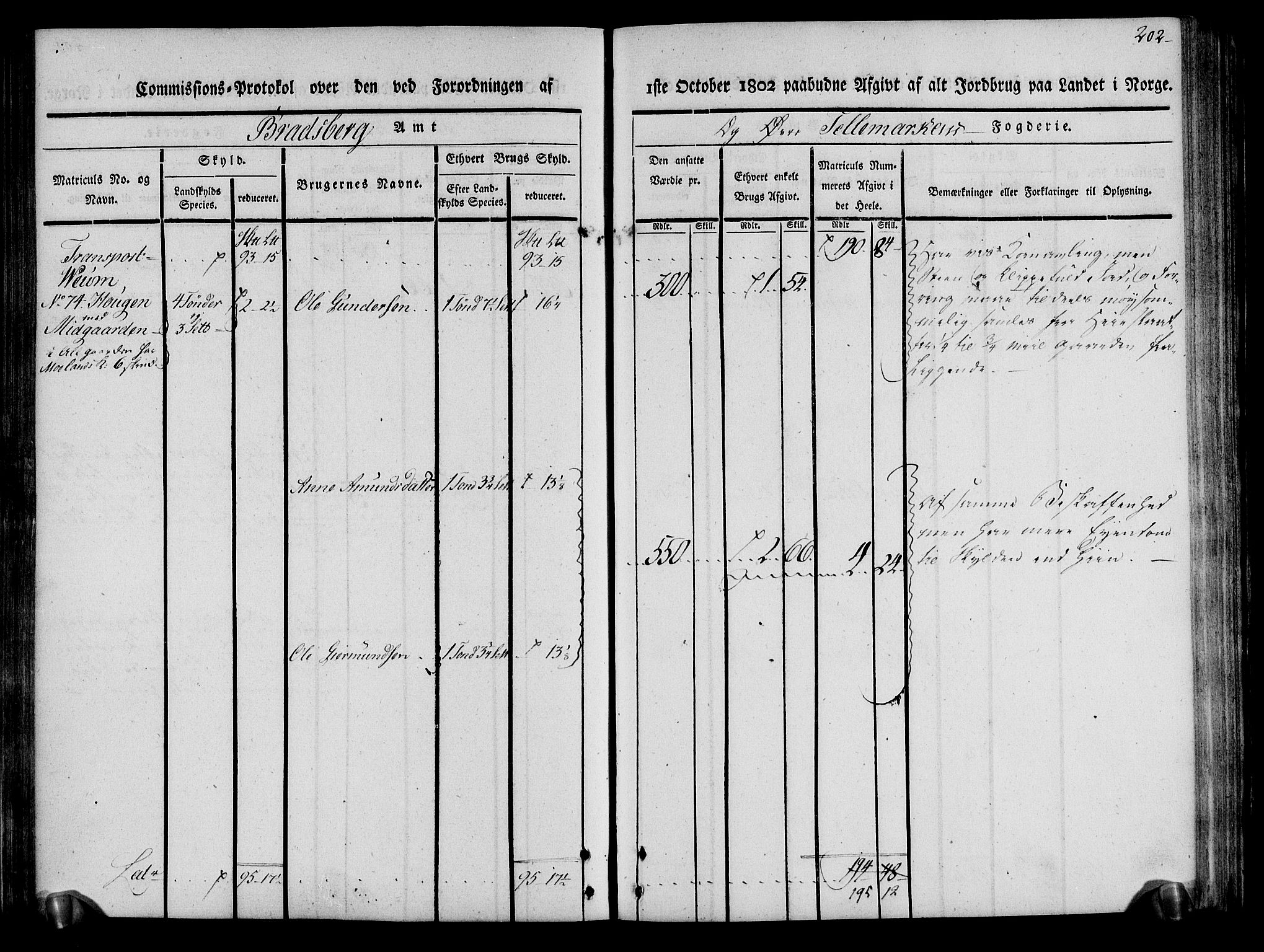 Rentekammeret inntil 1814, Realistisk ordnet avdeling, AV/RA-EA-4070/N/Ne/Nea/L0075: Øvre Telemarken fogderi. Kommisjonsprotokoll for fogderiets vestre del - Kviteseid, Vinje, Moland [):Fyresdal] og Lårdal prestegjeld., 1803, p. 204