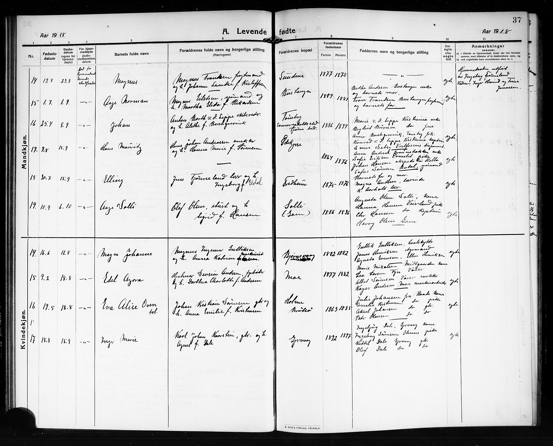 Tjøme kirkebøker, AV/SAKO-A-328/G/Ga/L0002: Parish register (copy) no. I 2, 1911-1920, p. 37