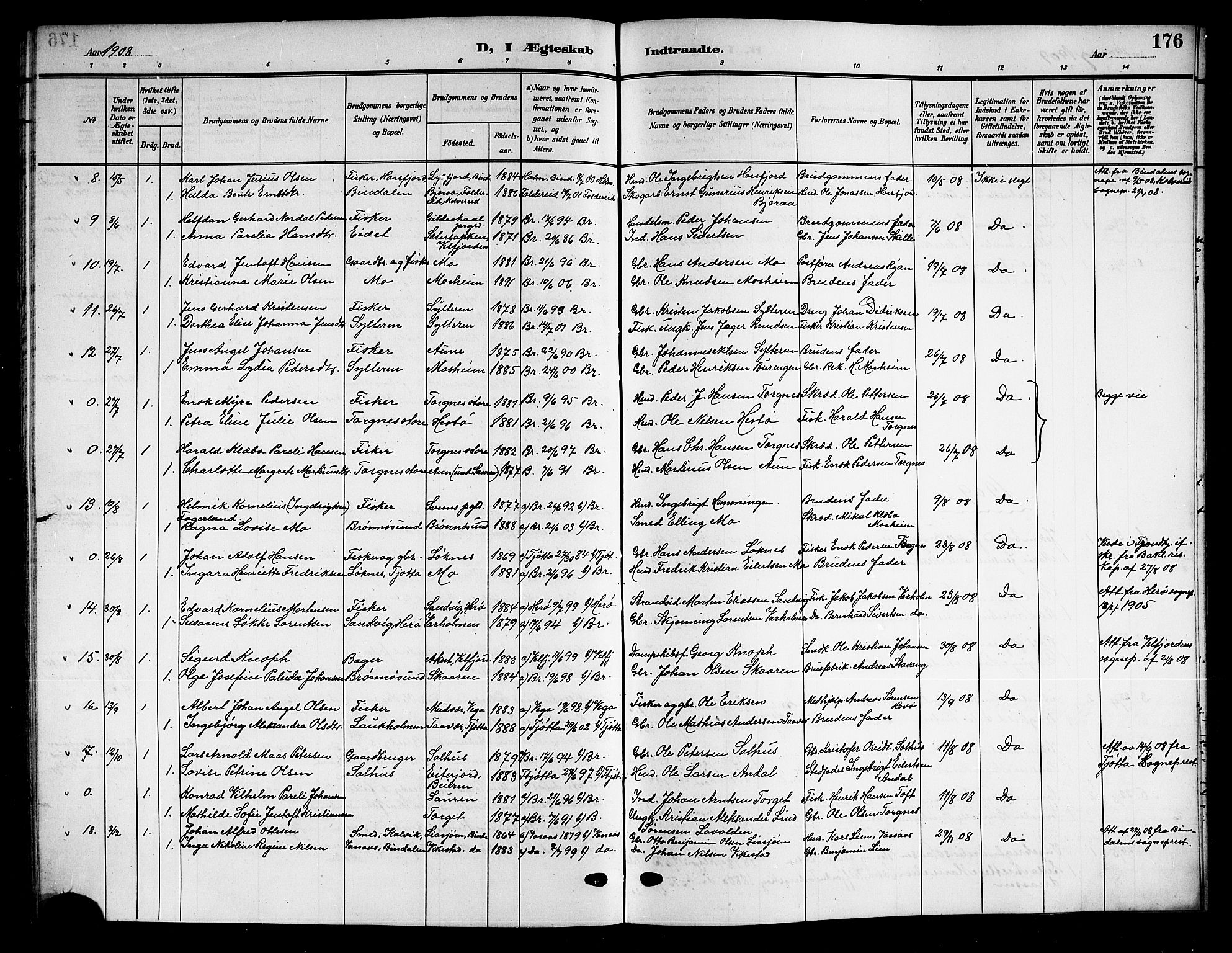 Ministerialprotokoller, klokkerbøker og fødselsregistre - Nordland, AV/SAT-A-1459/813/L0214: Parish register (copy) no. 813C06, 1904-1917, p. 176