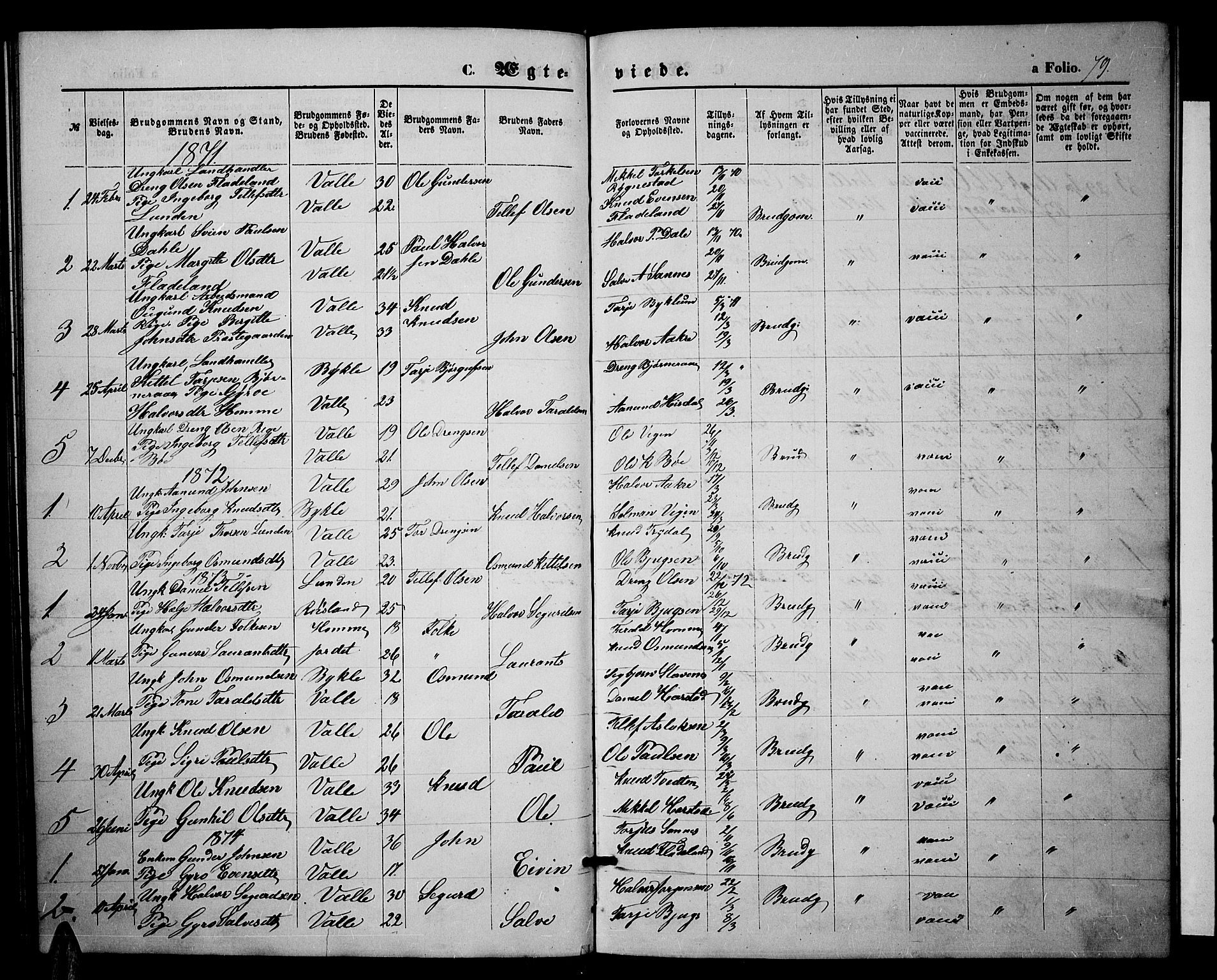 Valle sokneprestkontor, SAK/1111-0044/F/Fb/Fbc/L0003: Parish register (copy) no. B 3, 1871-1890, p. 79