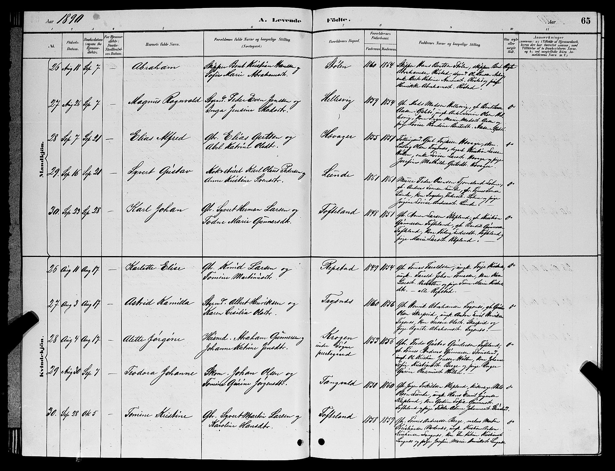 Søgne sokneprestkontor, SAK/1111-0037/F/Fb/Fbb/L0005: Parish register (copy) no. B 5, 1884-1891, p. 65