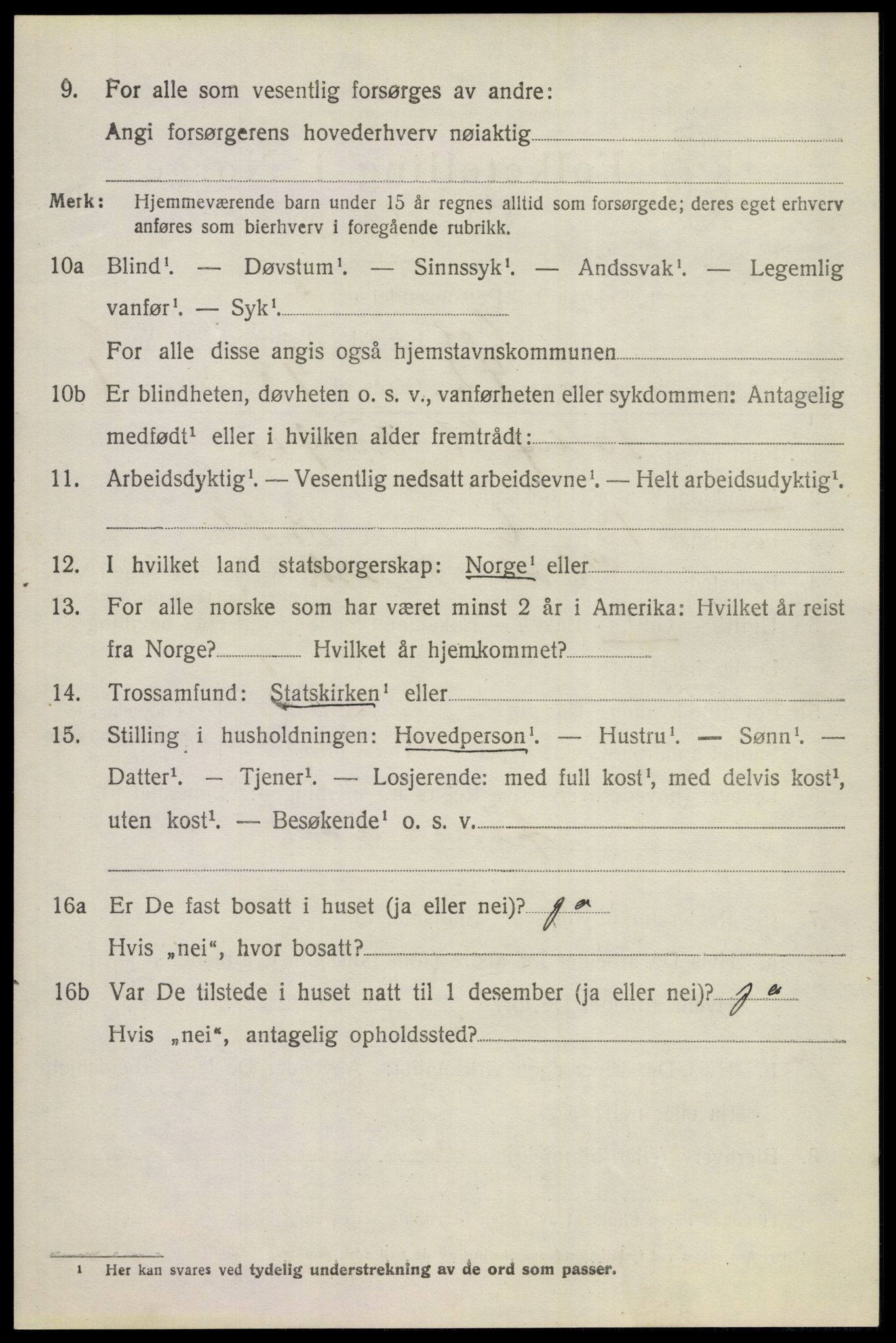 SAKO, 1920 census for Hol (Buskerud), 1920, p. 3502