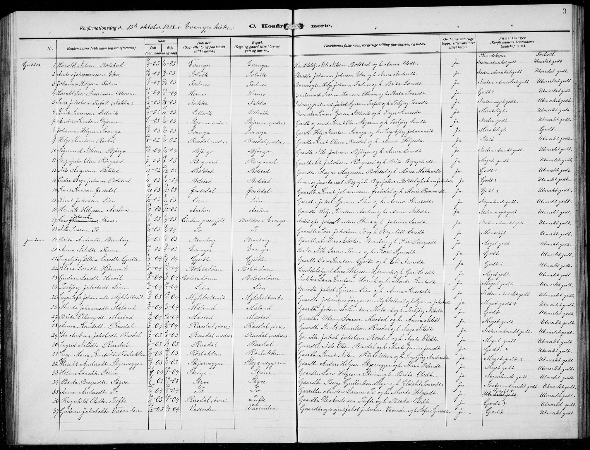 Evanger sokneprestembete, SAB/A-99924: Parish register (copy) no. A 6, 1918-1941, p. 3