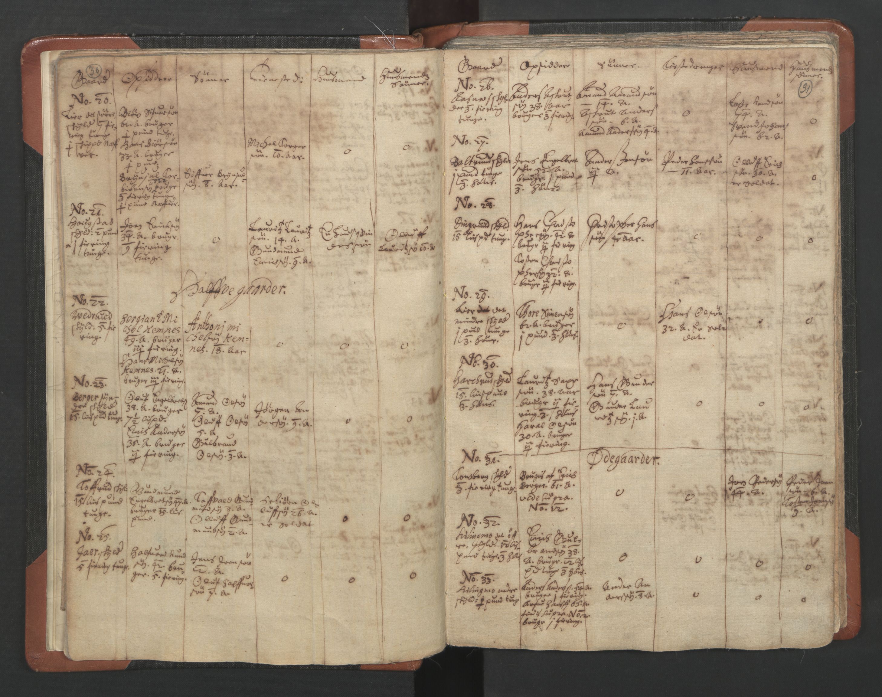 RA, Vicar's Census 1664-1666, no. 3: Nedre Romerike deanery, 1664-1666, p. 30-31