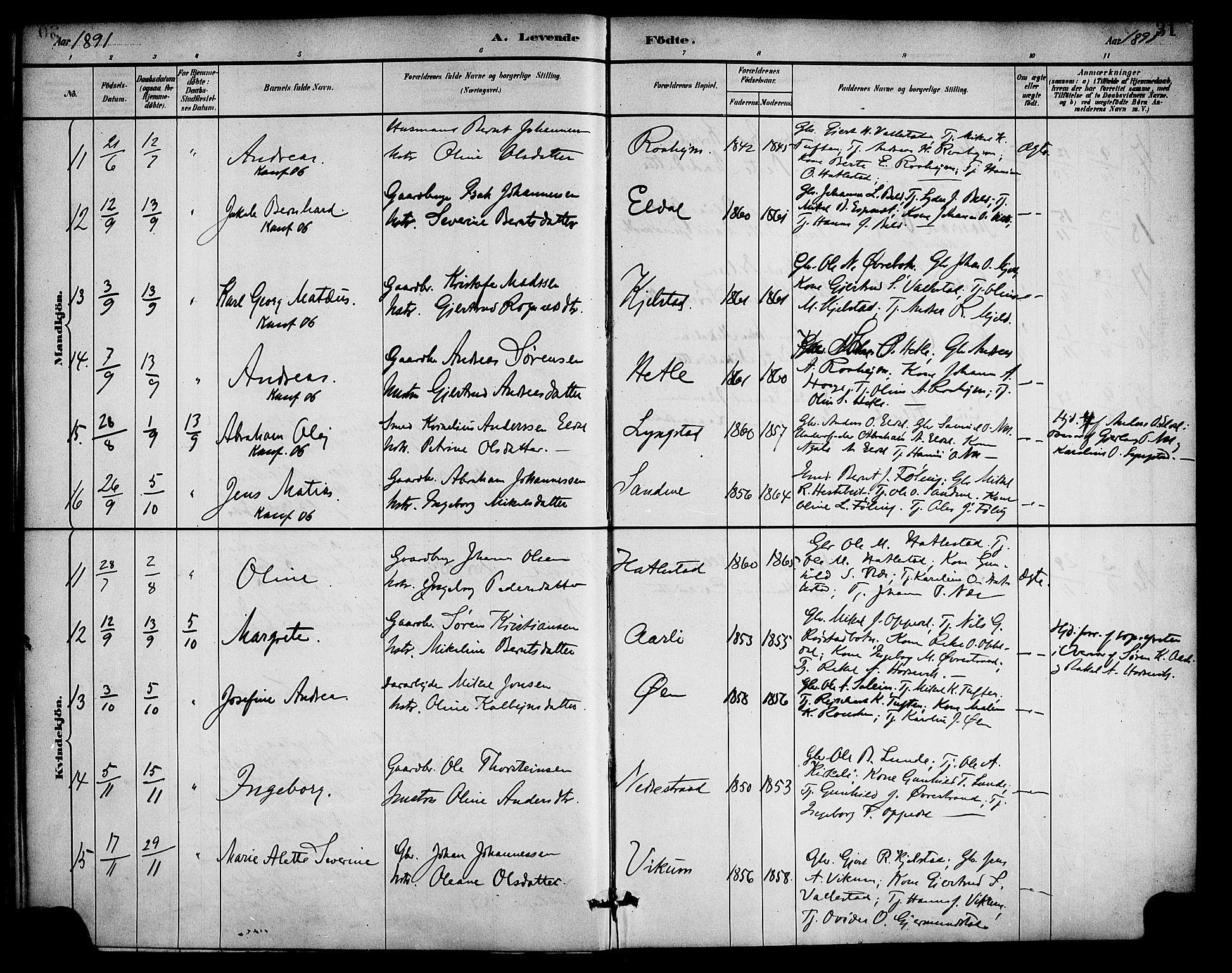 Gaular sokneprestembete, AV/SAB-A-80001/H/Haa: Parish register (official) no. D 1, 1882-1899, p. 31