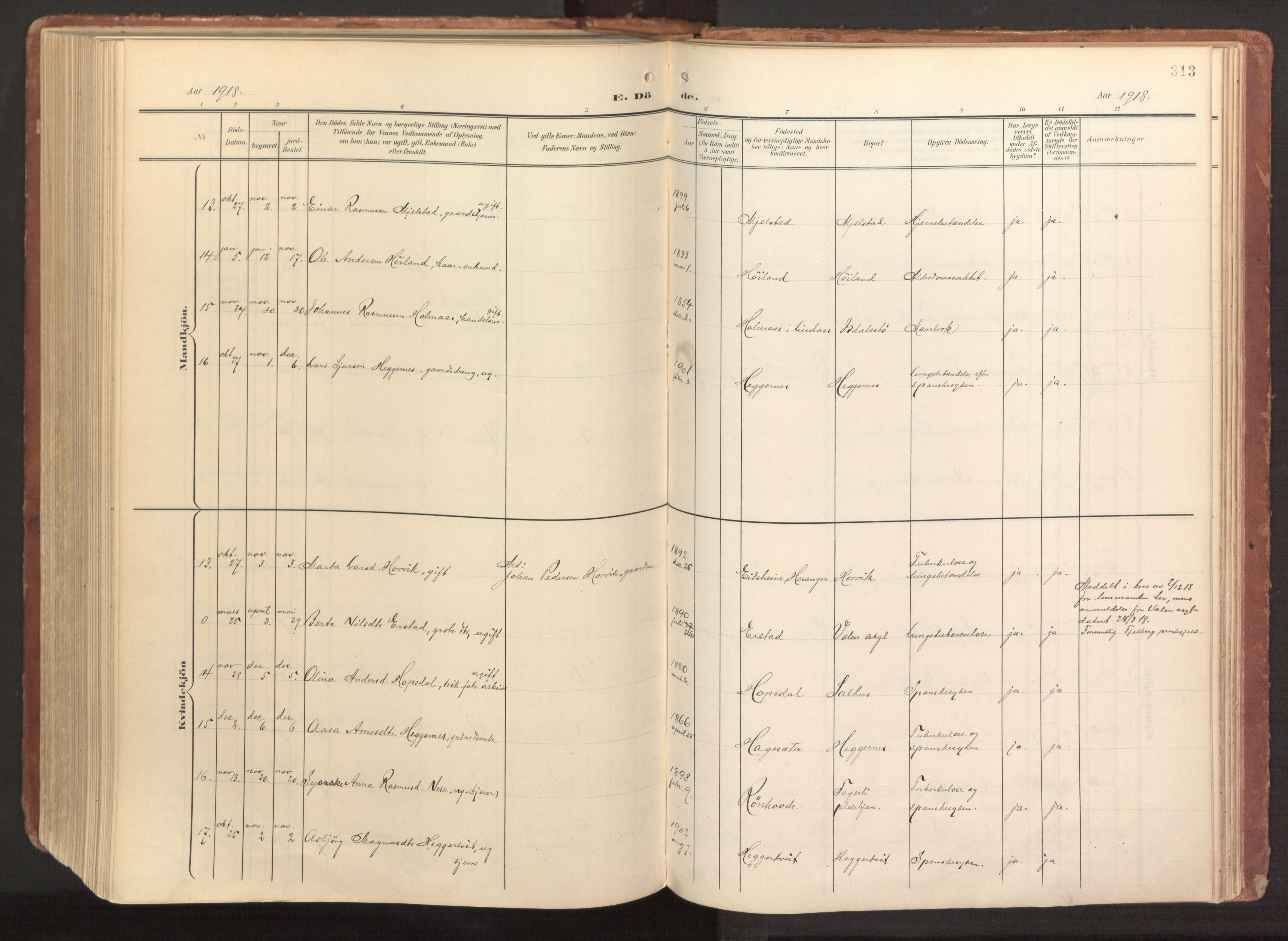 Hamre sokneprestembete, AV/SAB-A-75501/H/Ha/Haa/Haab/L0002: Parish register (official) no. B 2, 1905-1924, p. 313