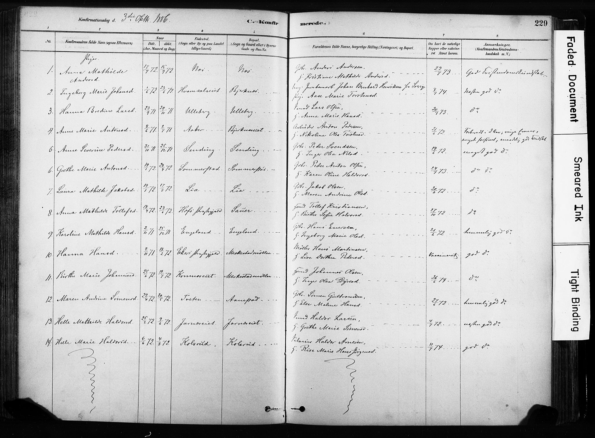 Sandsvær kirkebøker, AV/SAKO-A-244/F/Fb/L0001: Parish register (official) no. II 1, 1878-1906, p. 229