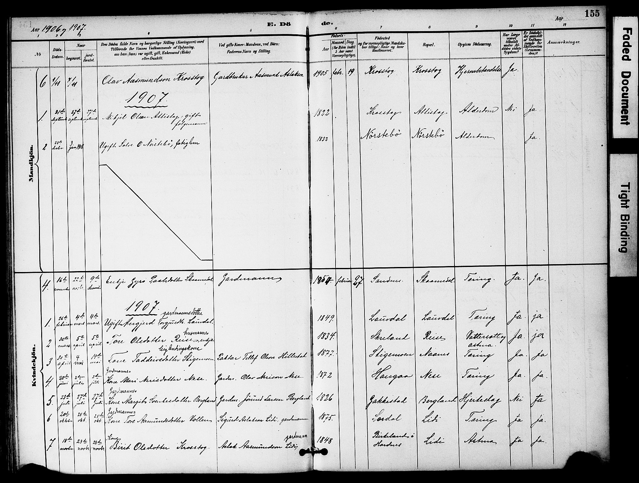 Bygland sokneprestkontor, SAK/1111-0006/F/Fa/Fab/L0007: Parish register (official) no. A 7, 1885-1909, p. 155