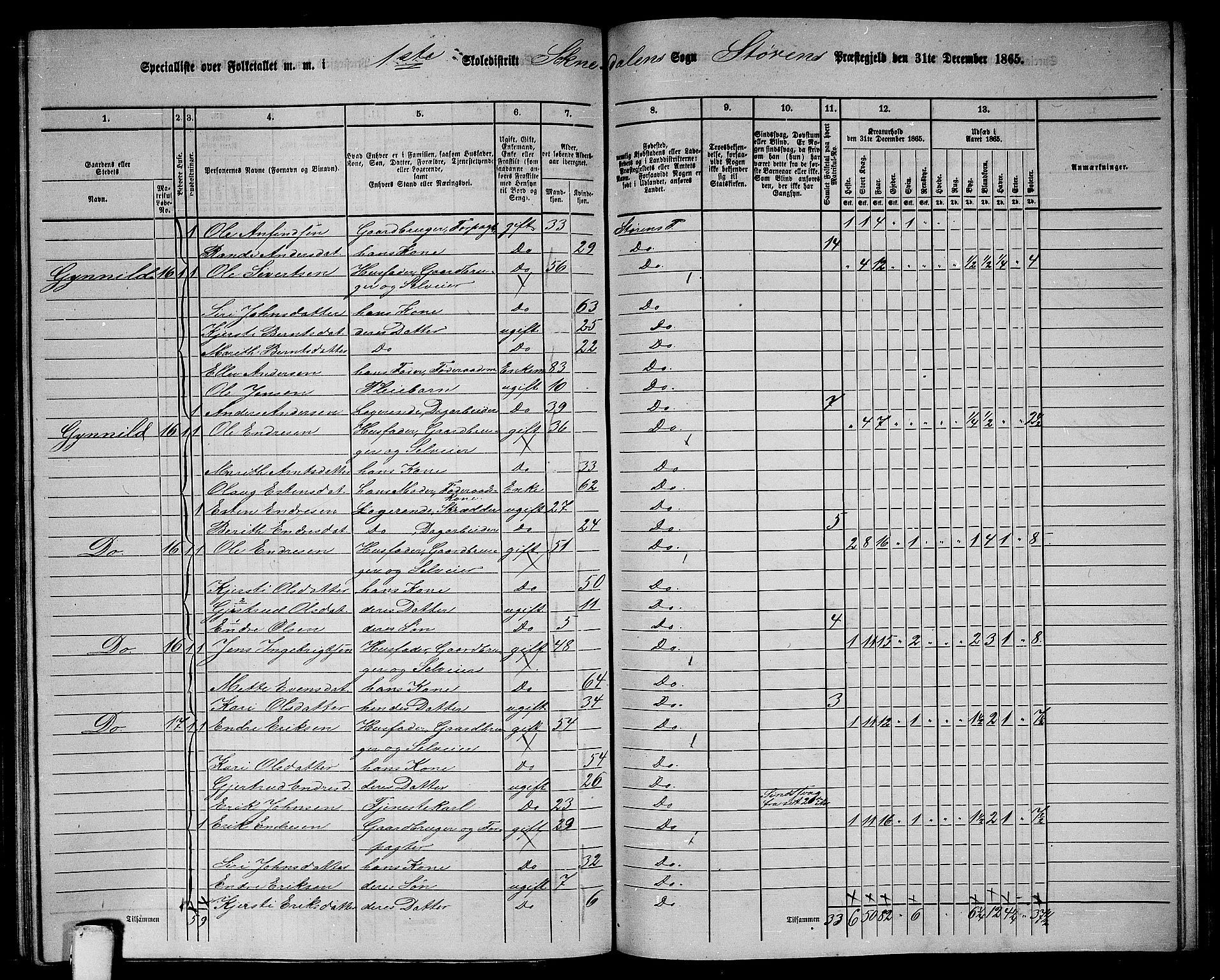 RA, 1865 census for Støren, 1865, p. 221