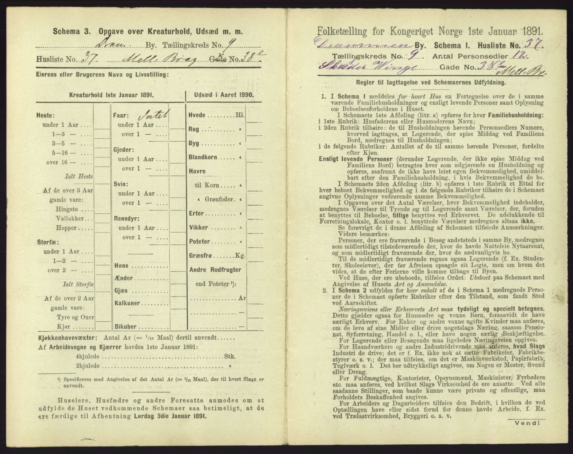 RA, 1891 census for 0602 Drammen, 1891, p. 817