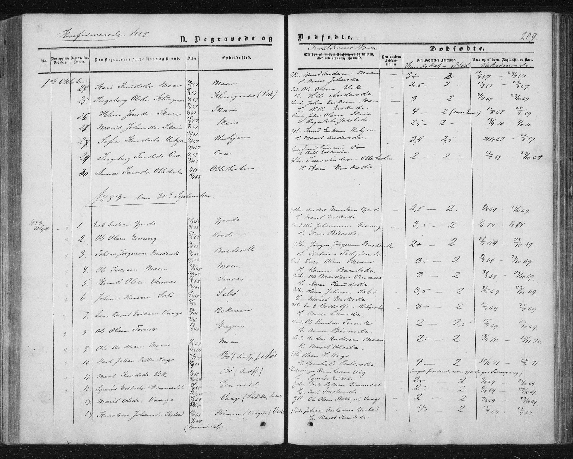 Ministerialprotokoller, klokkerbøker og fødselsregistre - Møre og Romsdal, AV/SAT-A-1454/543/L0562: Parish register (official) no. 543A02, 1854-1884, p. 209