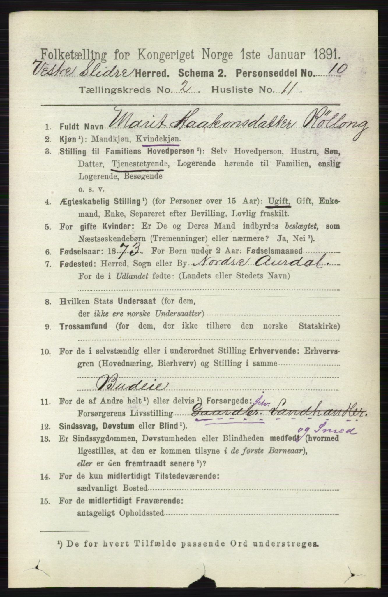 RA, 1891 census for 0543 Vestre Slidre, 1891, p. 594