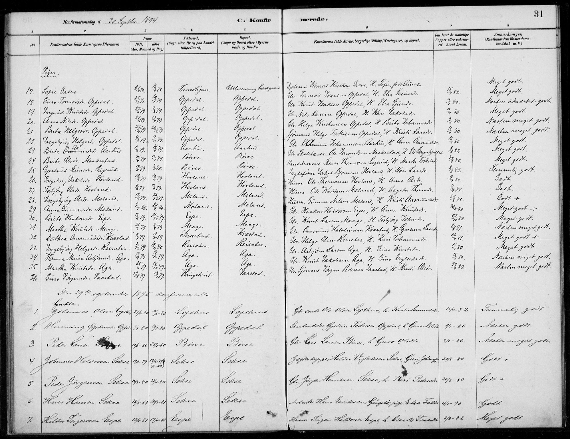 Ullensvang sokneprestembete, SAB/A-78701/H/Haa: Parish register (official) no. B  2, 1880-1910, p. 31