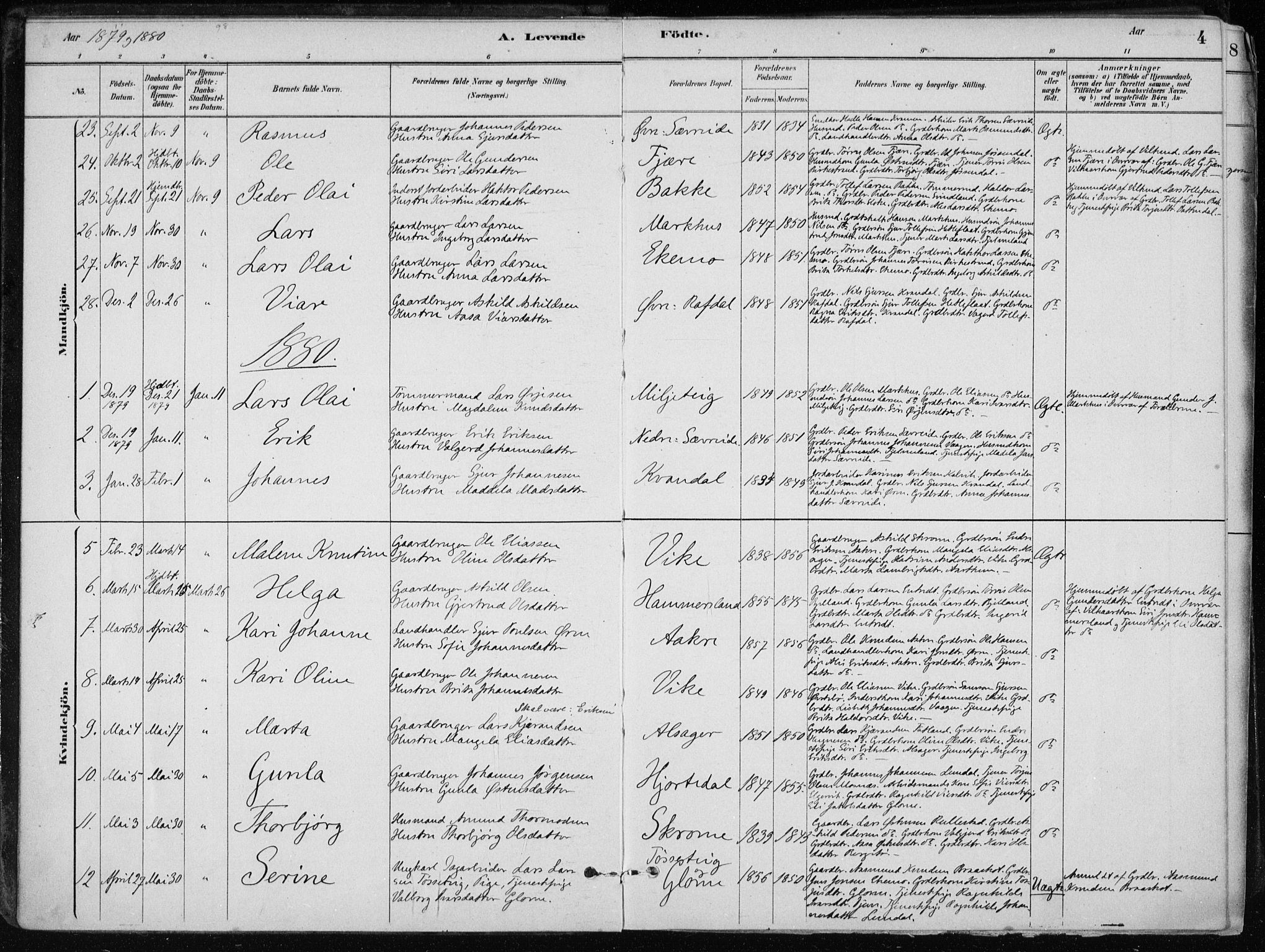 Skånevik sokneprestembete, SAB/A-77801/H/Haa: Parish register (official) no. E  1, 1879-1901, p. 4