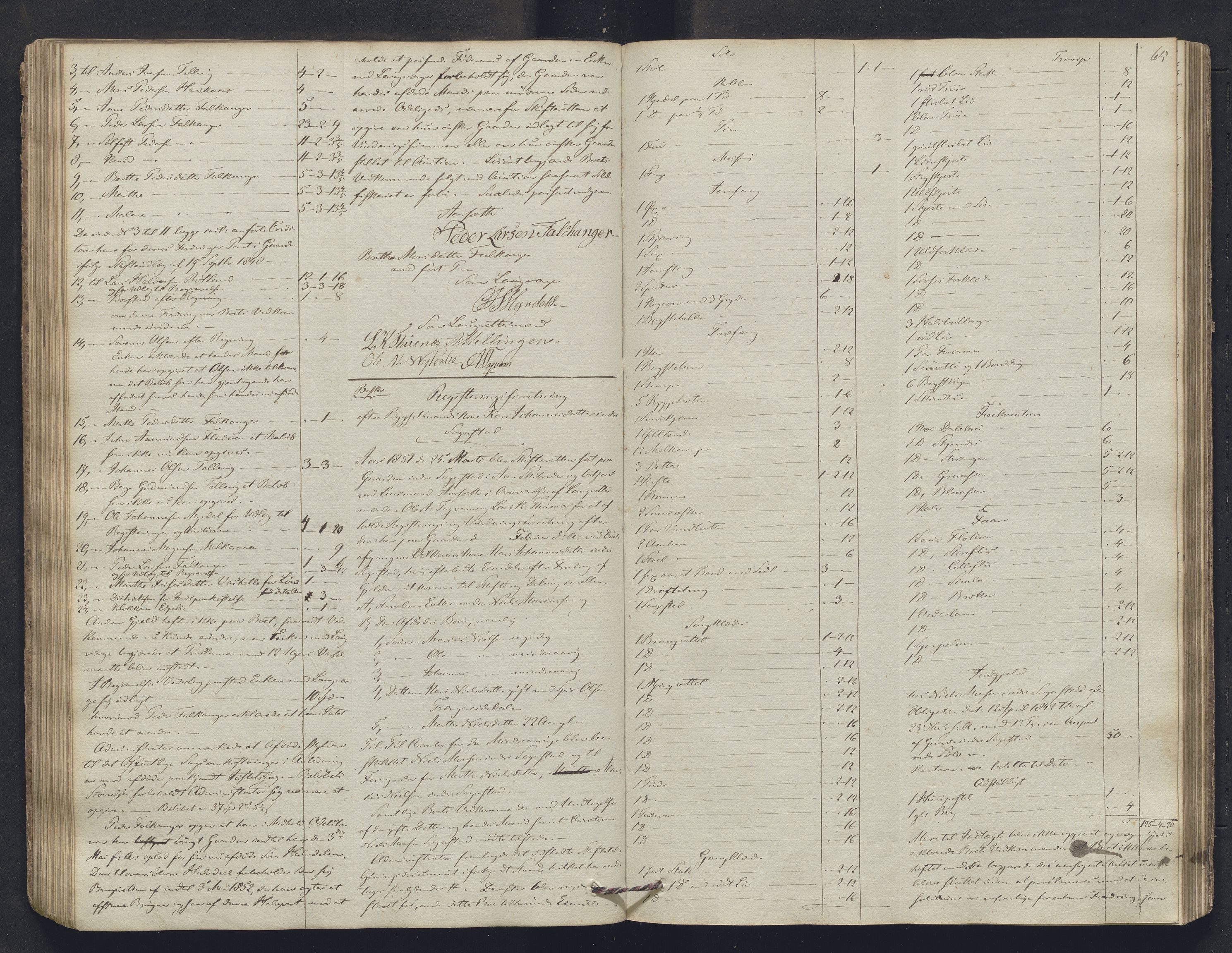 Nordhordland sorenskrivar, SAB/A-2901/1/H/Hb/L0004: Registreringsprotokollar, 1846-1852, p. 65