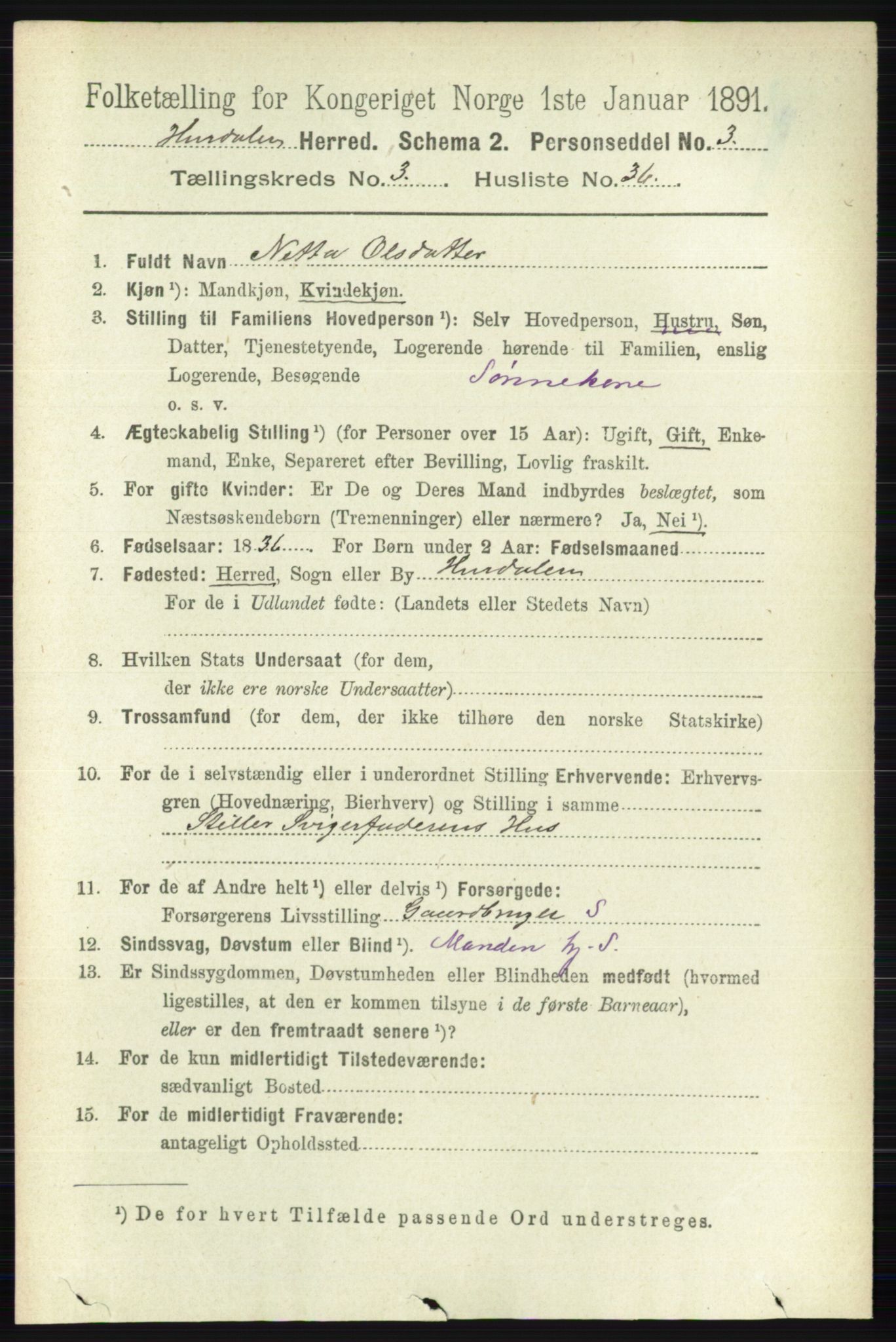 RA, 1891 census for 0239 Hurdal, 1891, p. 1311