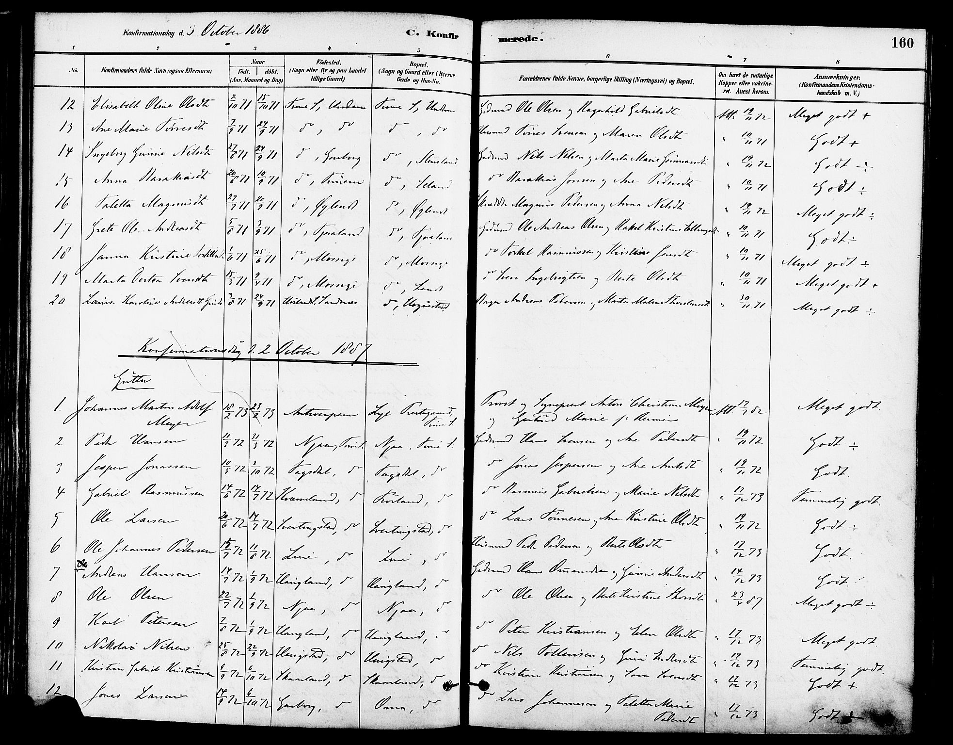 Lye sokneprestkontor, SAST/A-101794/001/30BA/L0009: Parish register (official) no. A 8, 1881-1892, p. 160