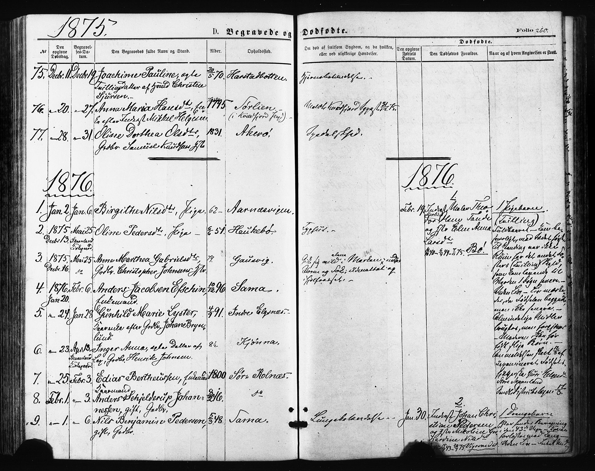 Trondenes sokneprestkontor, SATØ/S-1319/H/Ha/L0013kirke: Parish register (official) no. 13, 1870-1878, p. 260