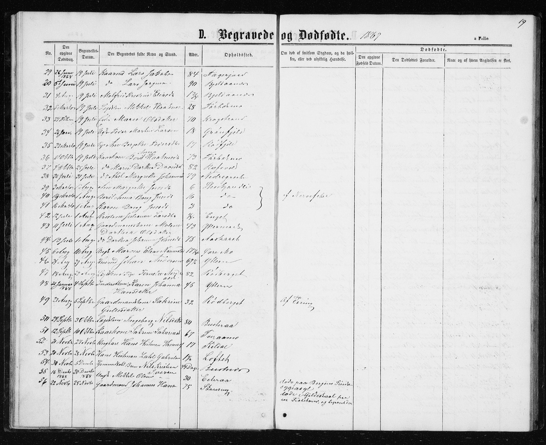 Ministerialprotokoller, klokkerbøker og fødselsregistre - Nordland, AV/SAT-A-1459/827/L0418: Parish register (copy) no. 827C07, 1863-1886, p. 19