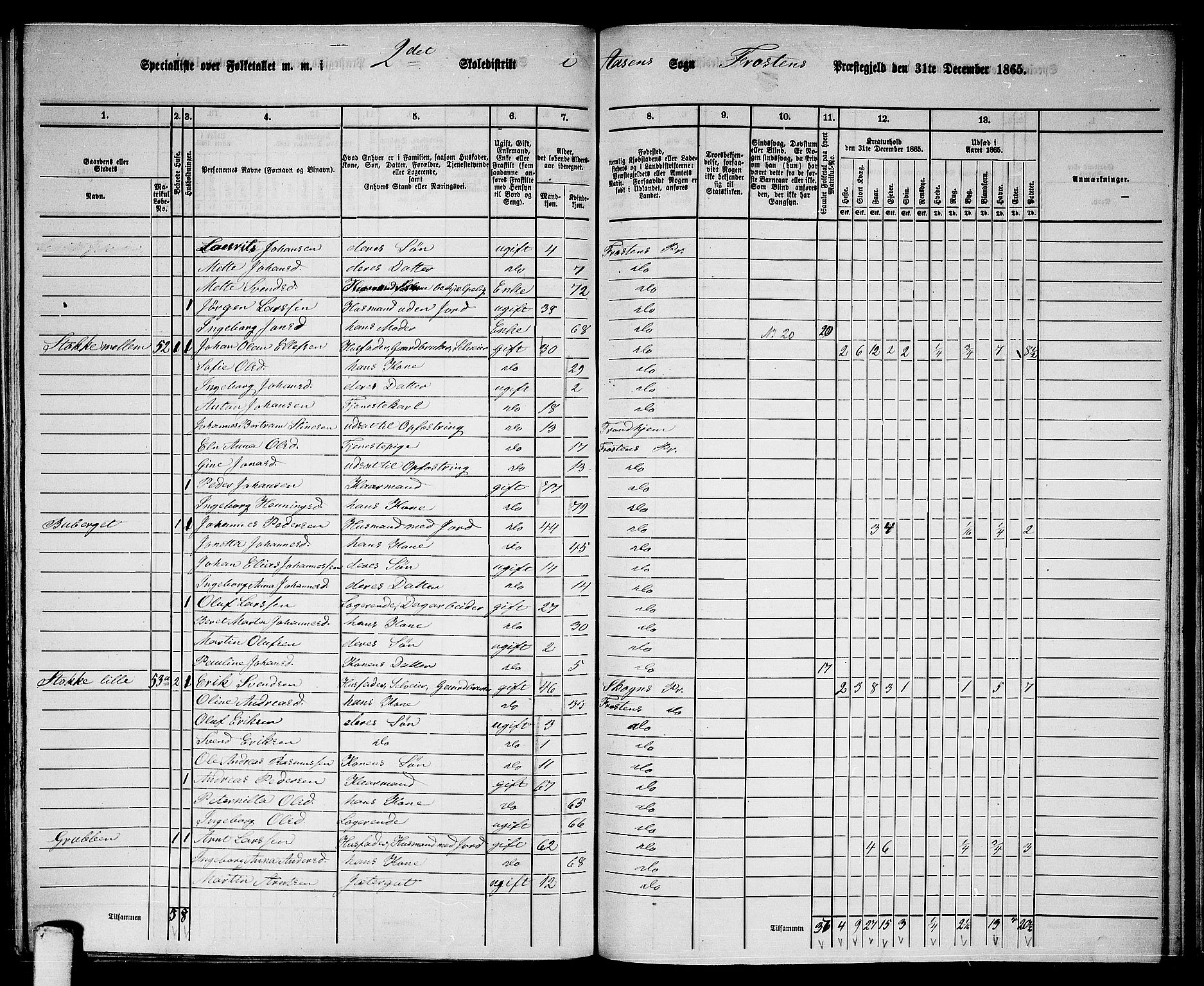 RA, 1865 census for Frosta, 1865, p. 163