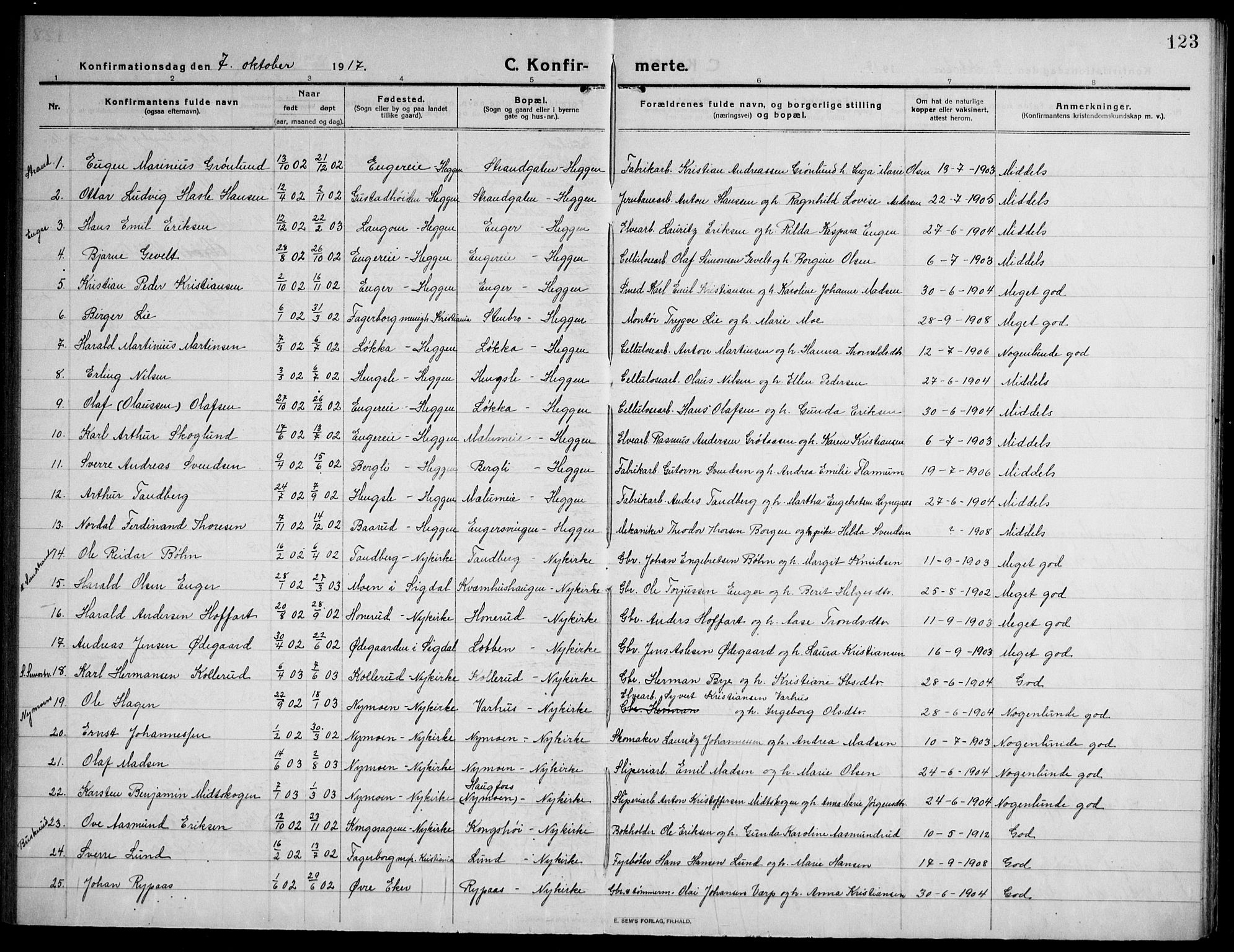 Modum kirkebøker, AV/SAKO-A-234/F/Fa/L0018: Parish register (official) no. 18, 1912-1924, p. 123