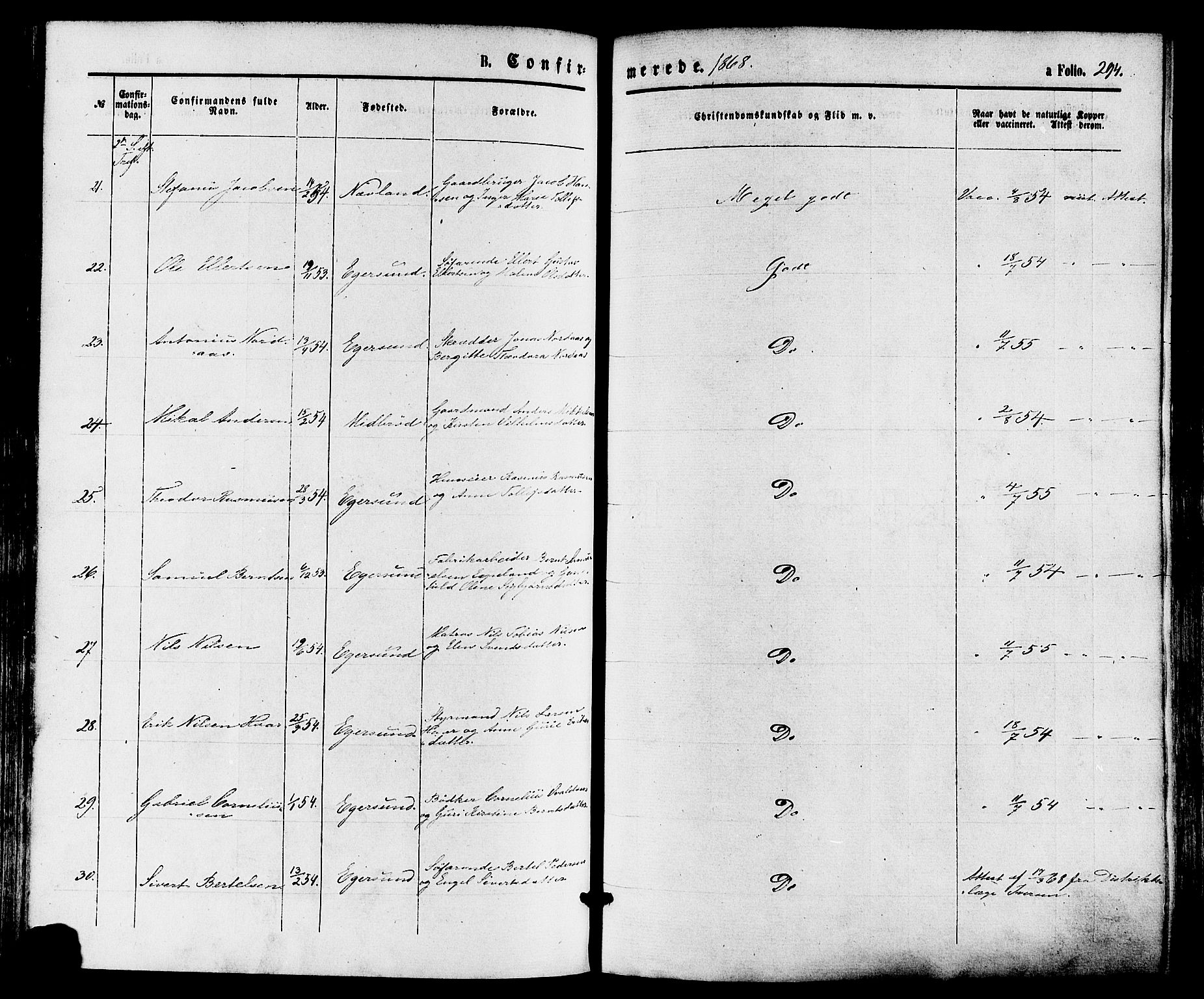 Eigersund sokneprestkontor, AV/SAST-A-101807/S08/L0014: Parish register (official) no. A 13, 1866-1878, p. 294