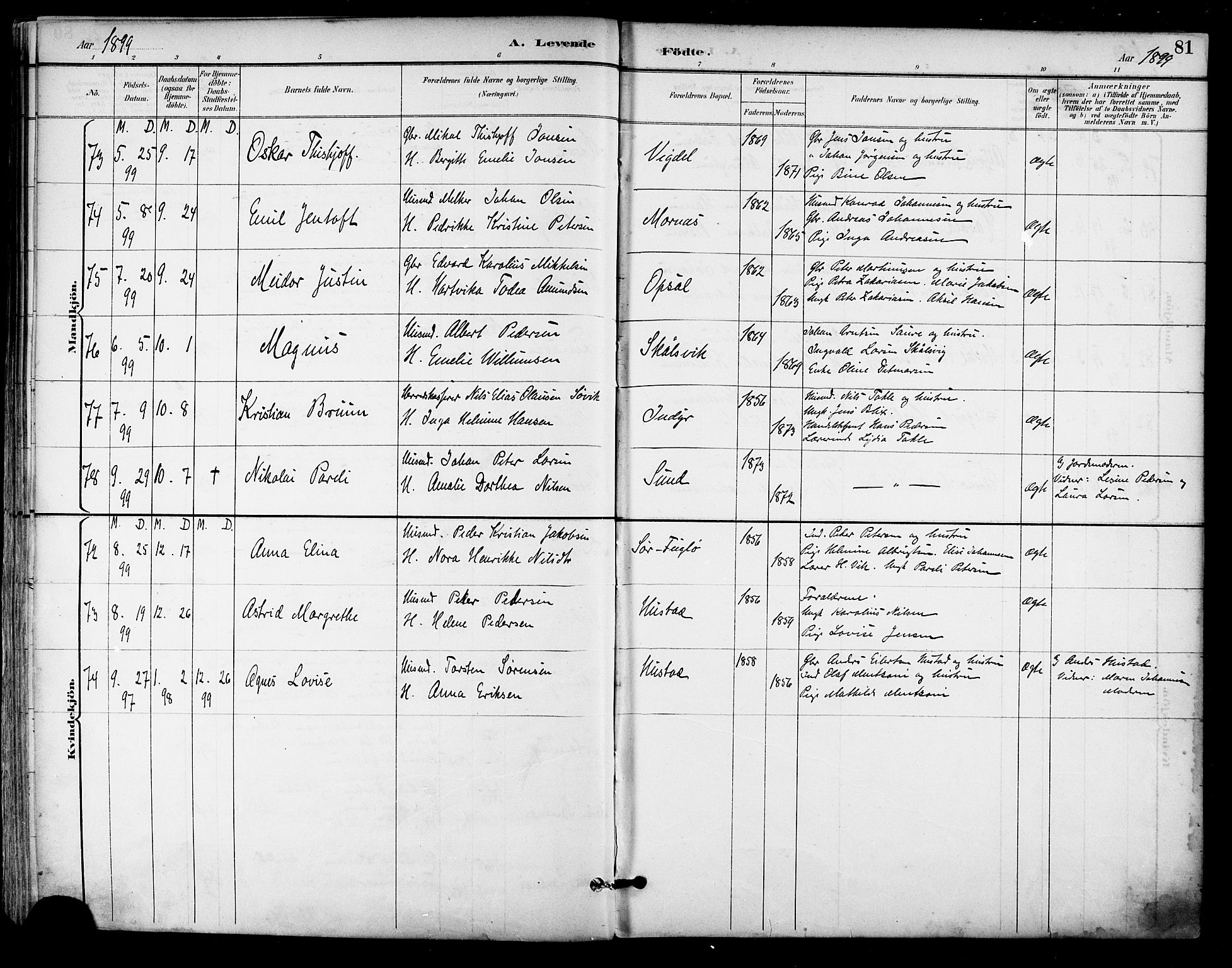 Ministerialprotokoller, klokkerbøker og fødselsregistre - Nordland, AV/SAT-A-1459/805/L0101: Parish register (official) no. 805A07, 1892-1899, p. 81