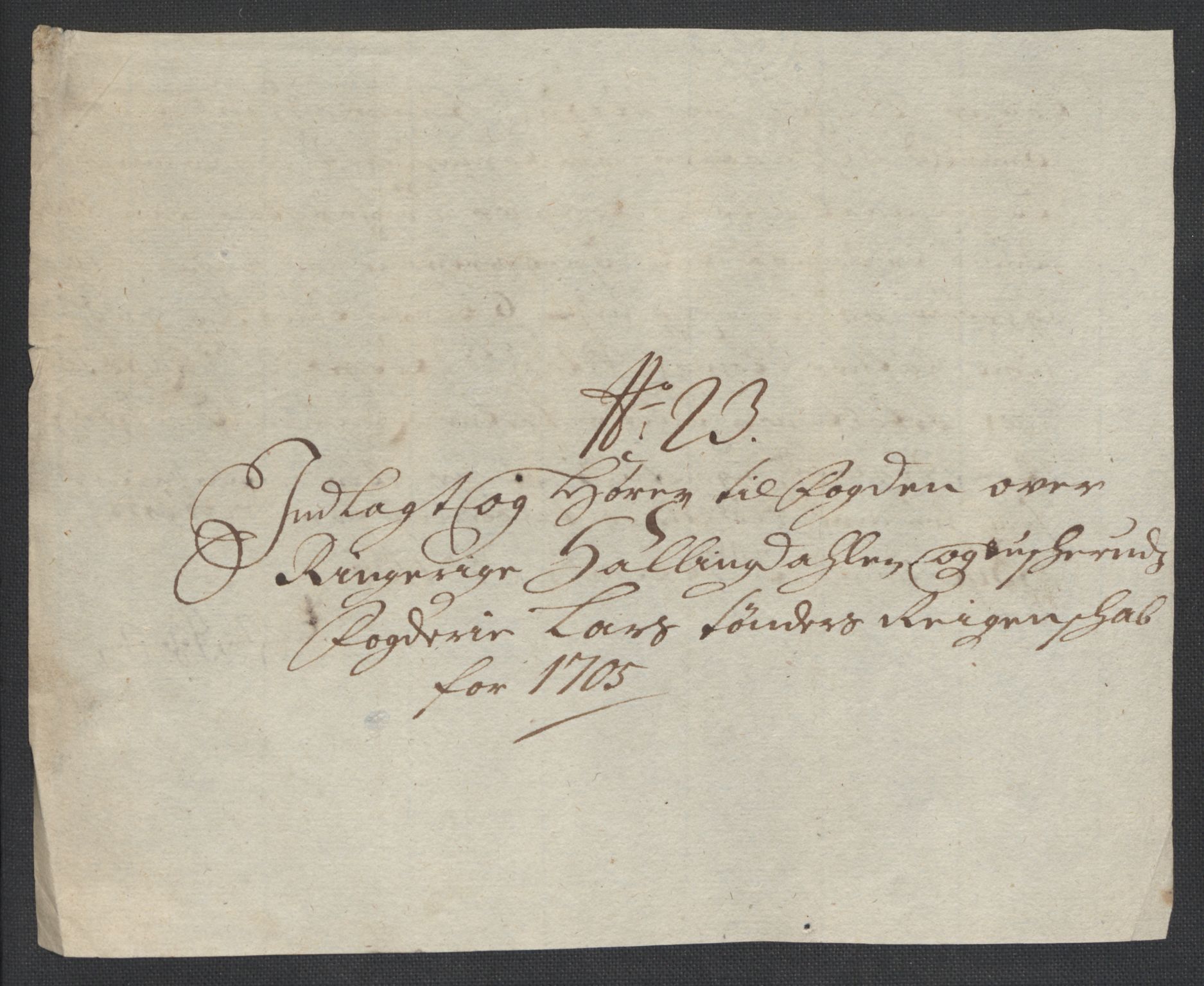 Rentekammeret inntil 1814, Reviderte regnskaper, Fogderegnskap, AV/RA-EA-4092/R22/L1464: Fogderegnskap Ringerike, Hallingdal og Buskerud, 1705, p. 259