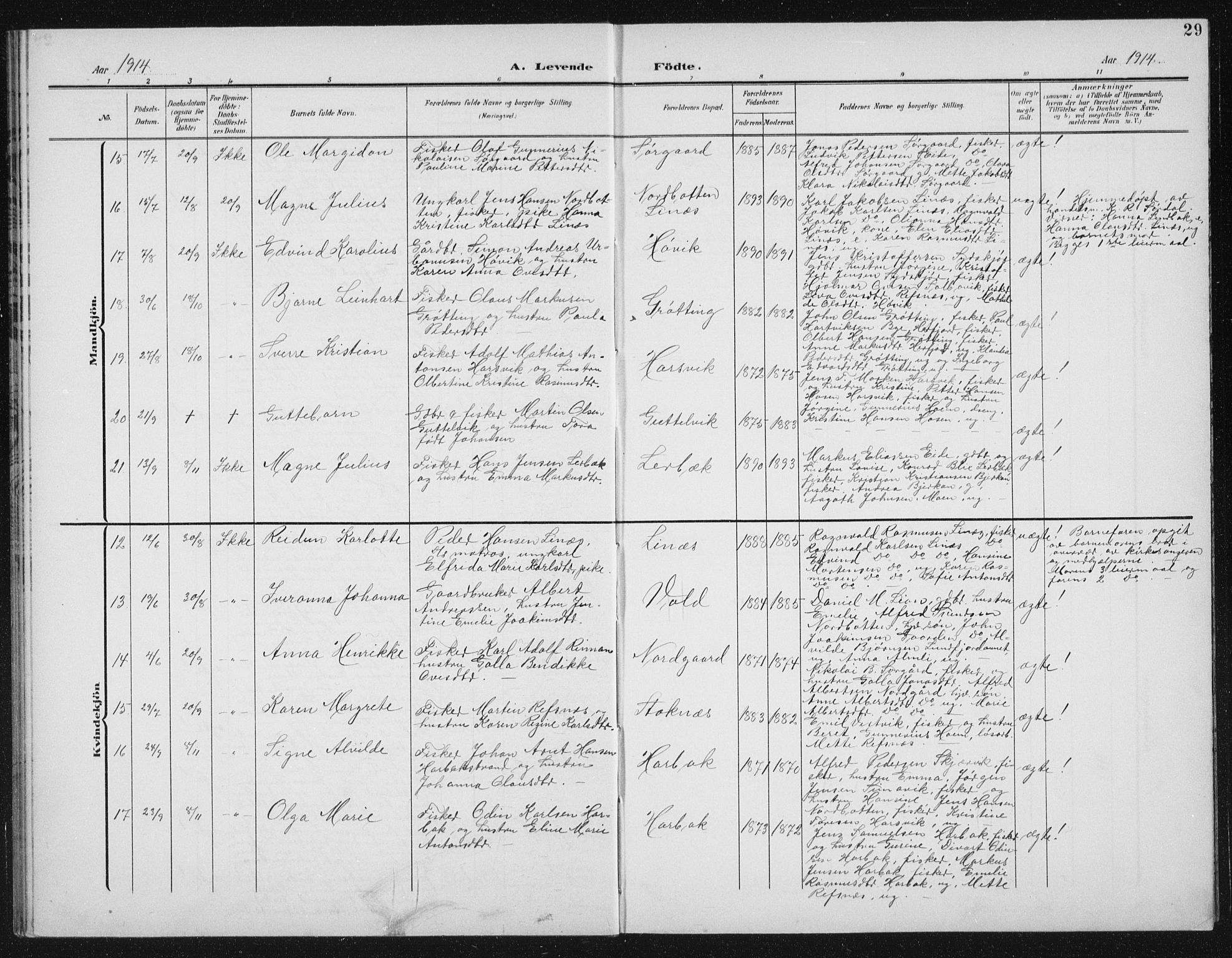 Ministerialprotokoller, klokkerbøker og fødselsregistre - Sør-Trøndelag, AV/SAT-A-1456/656/L0699: Parish register (copy) no. 656C05, 1905-1920, p. 29