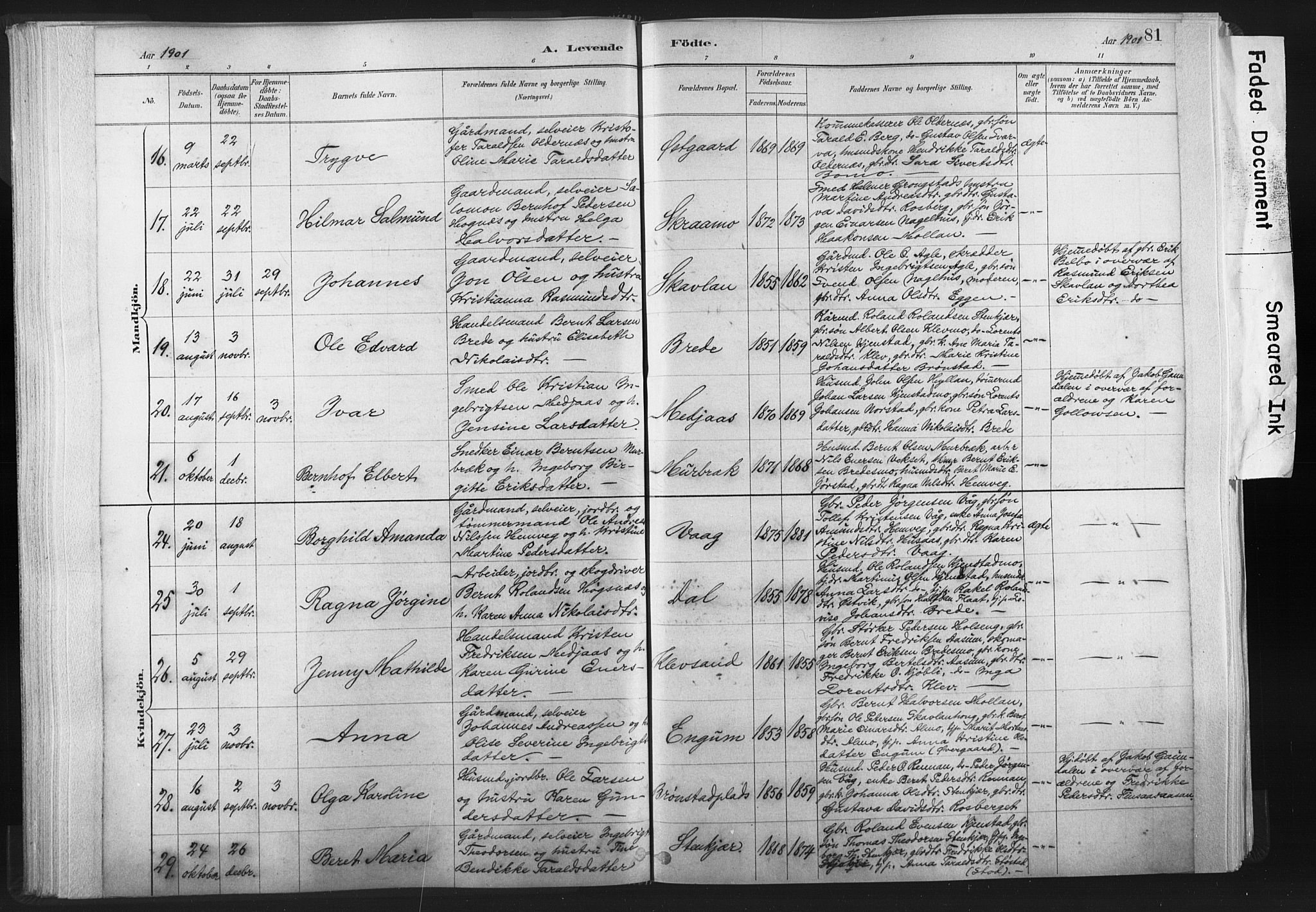 Ministerialprotokoller, klokkerbøker og fødselsregistre - Nord-Trøndelag, SAT/A-1458/749/L0474: Parish register (official) no. 749A08, 1887-1903, p. 81
