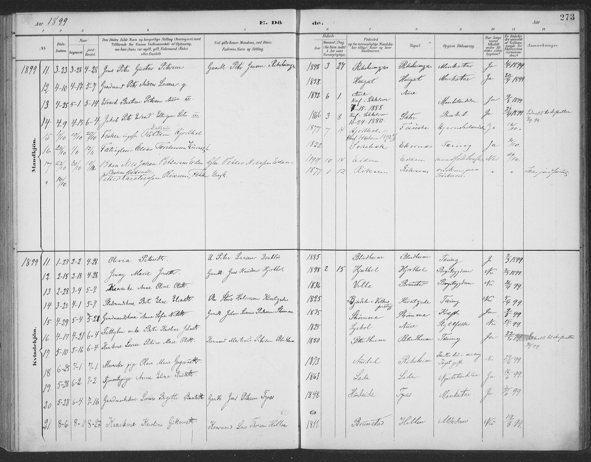 Ministerialprotokoller, klokkerbøker og fødselsregistre - Møre og Romsdal, AV/SAT-A-1454/523/L0335: Parish register (official) no. 523A02, 1891-1911, p. 273