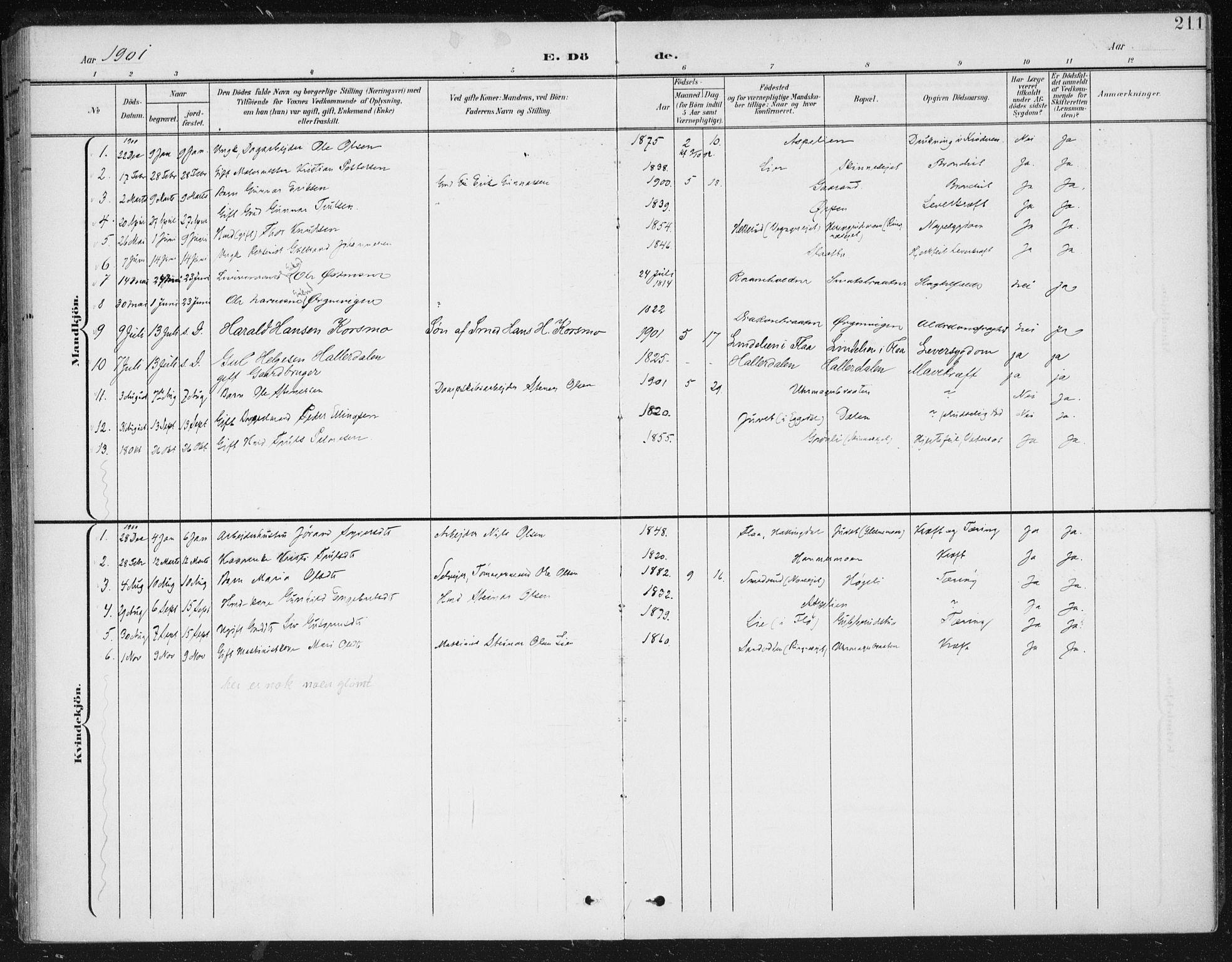 Krødsherad kirkebøker, SAKO/A-19/F/Fa/L0007: Parish register (official) no. 7, 1900-1915, p. 211