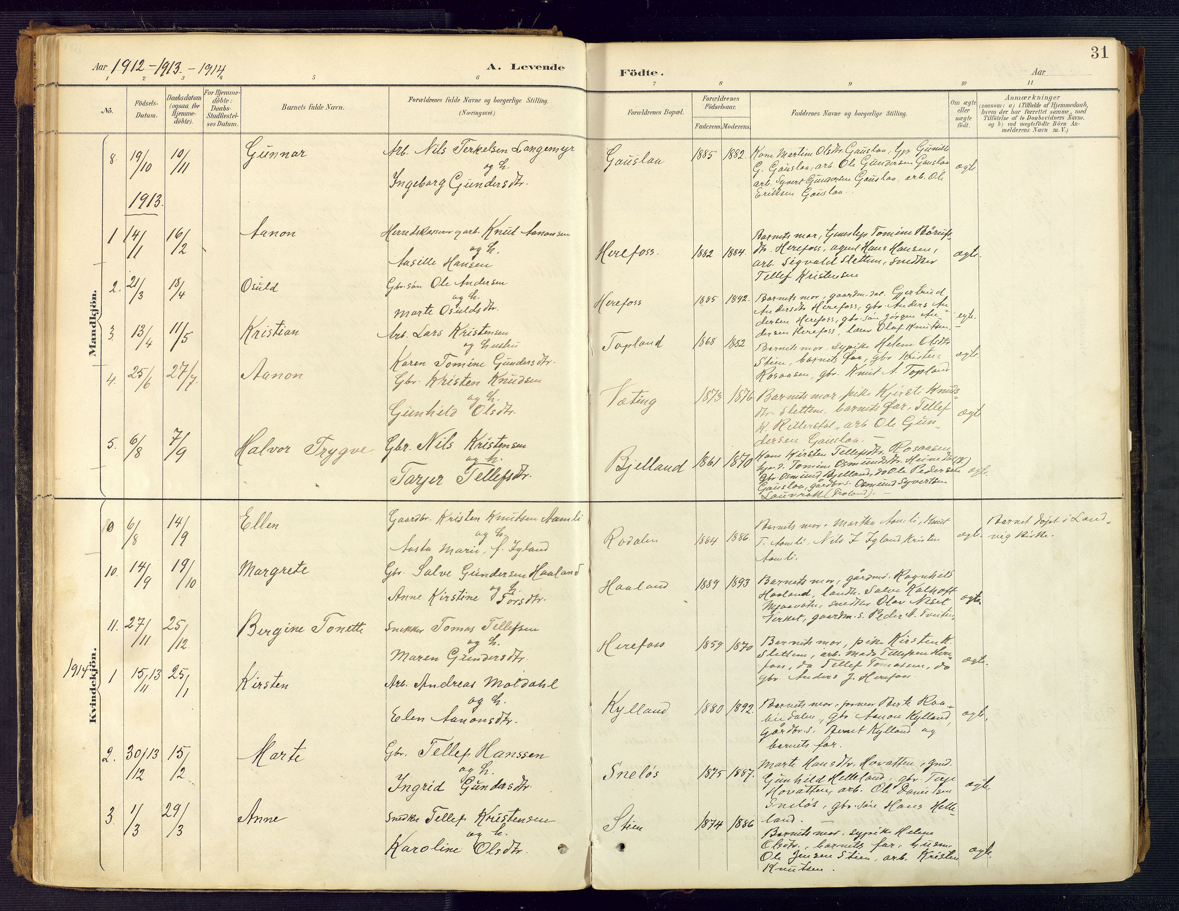 Herefoss sokneprestkontor, AV/SAK-1111-0019/F/Fa/Faa/L0003: Parish register (official) no. A 3, 1887-1930, p. 31